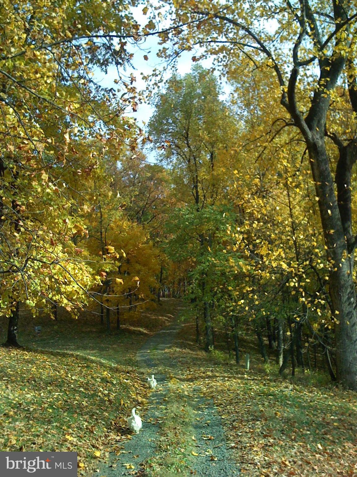 FLINT HILL - Residential