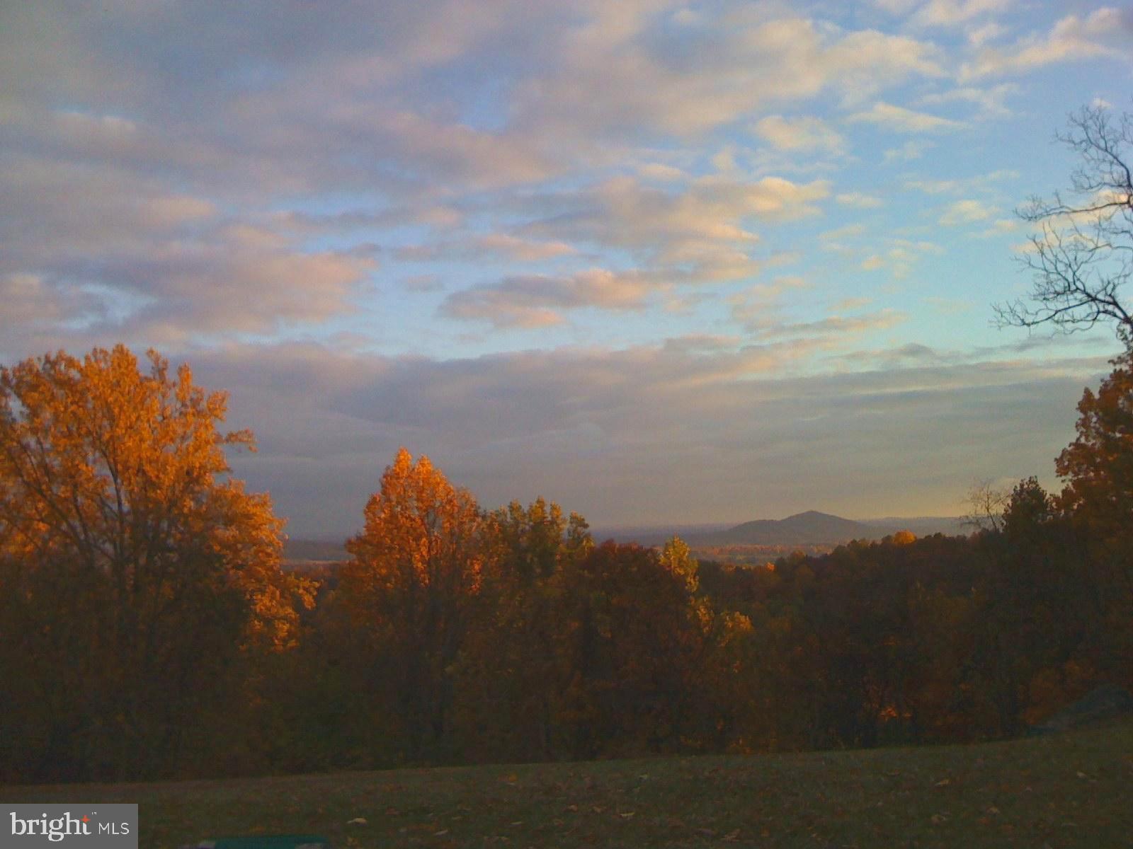 FLINT HILL - Residential