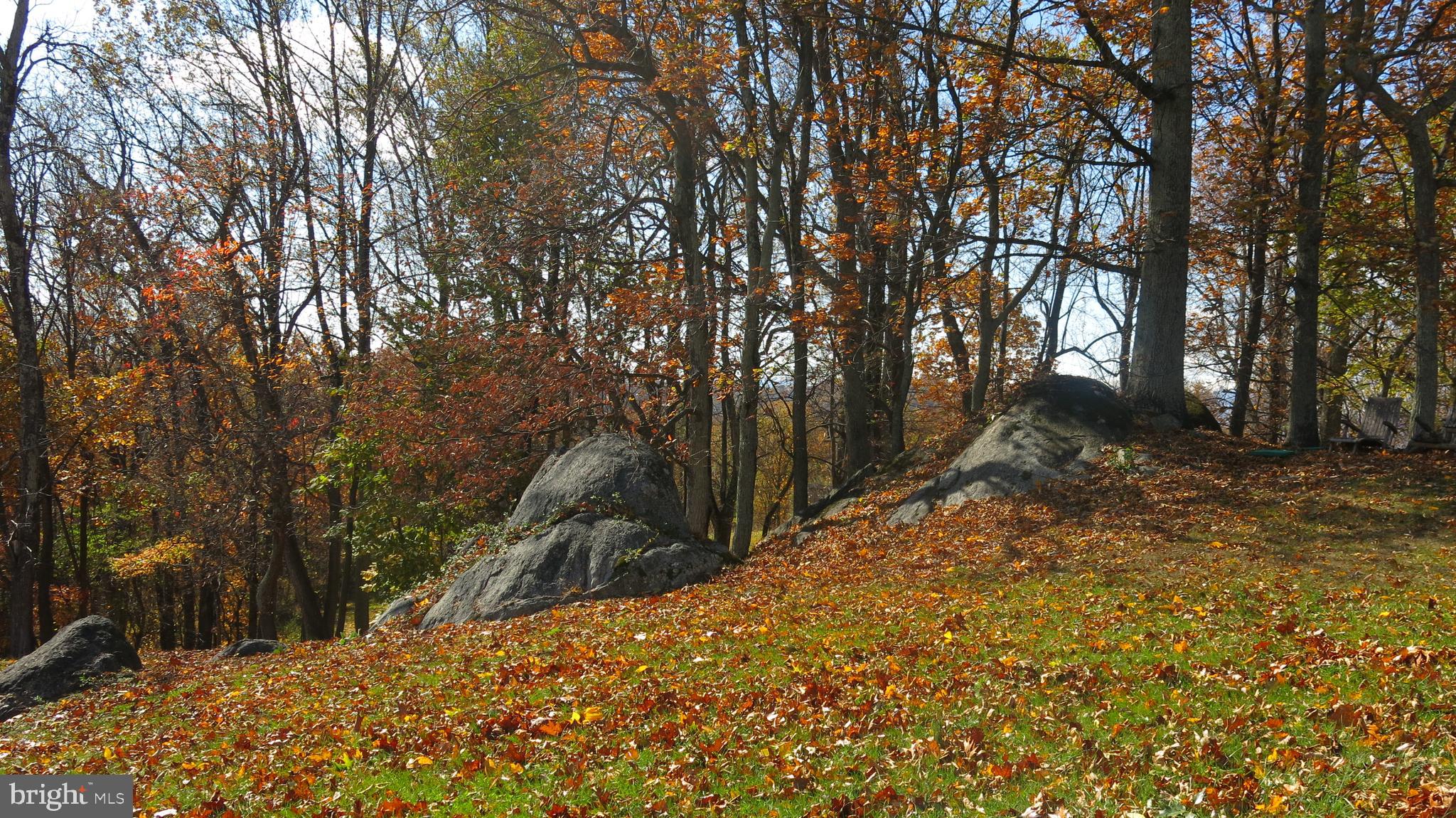 FLINT HILL - Residential