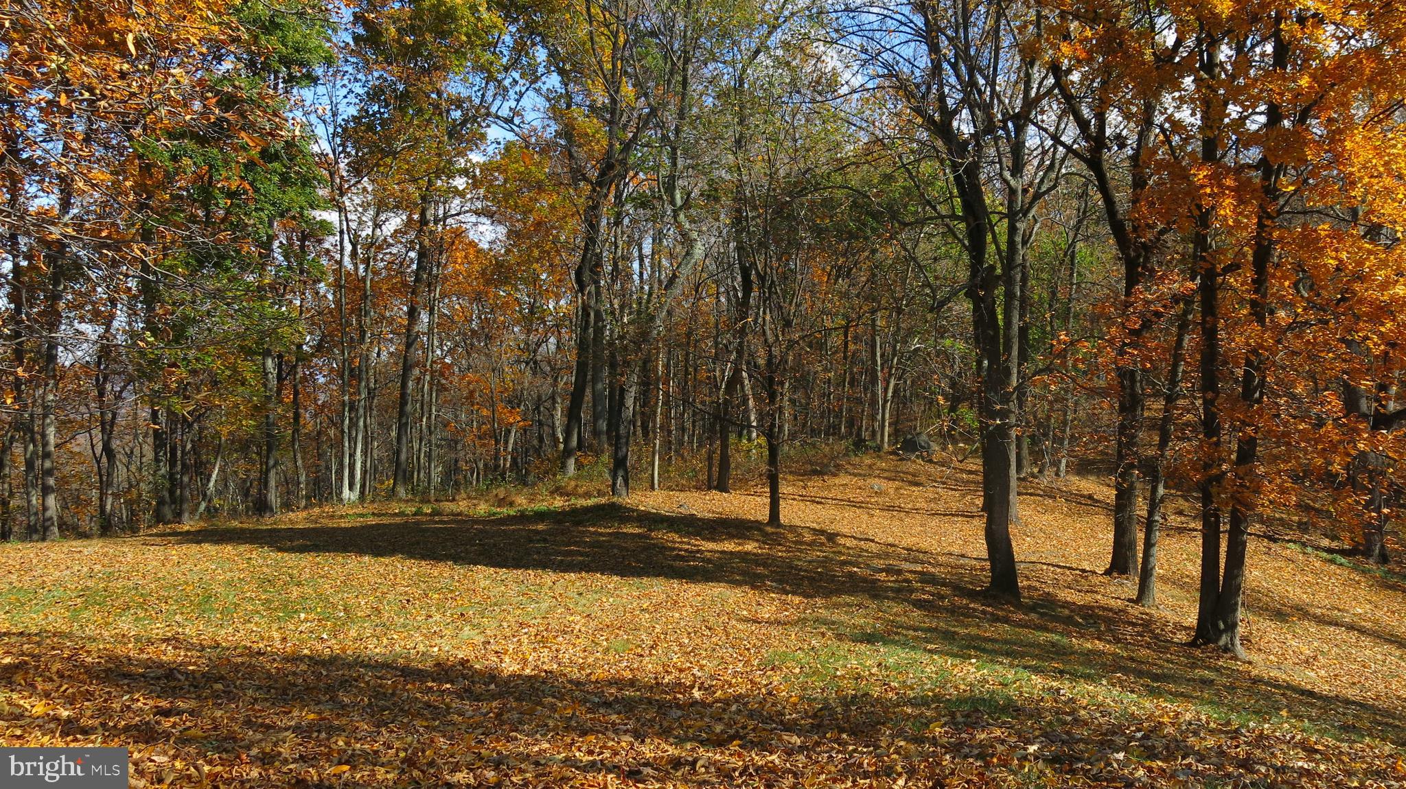 FLINT HILL - Residential