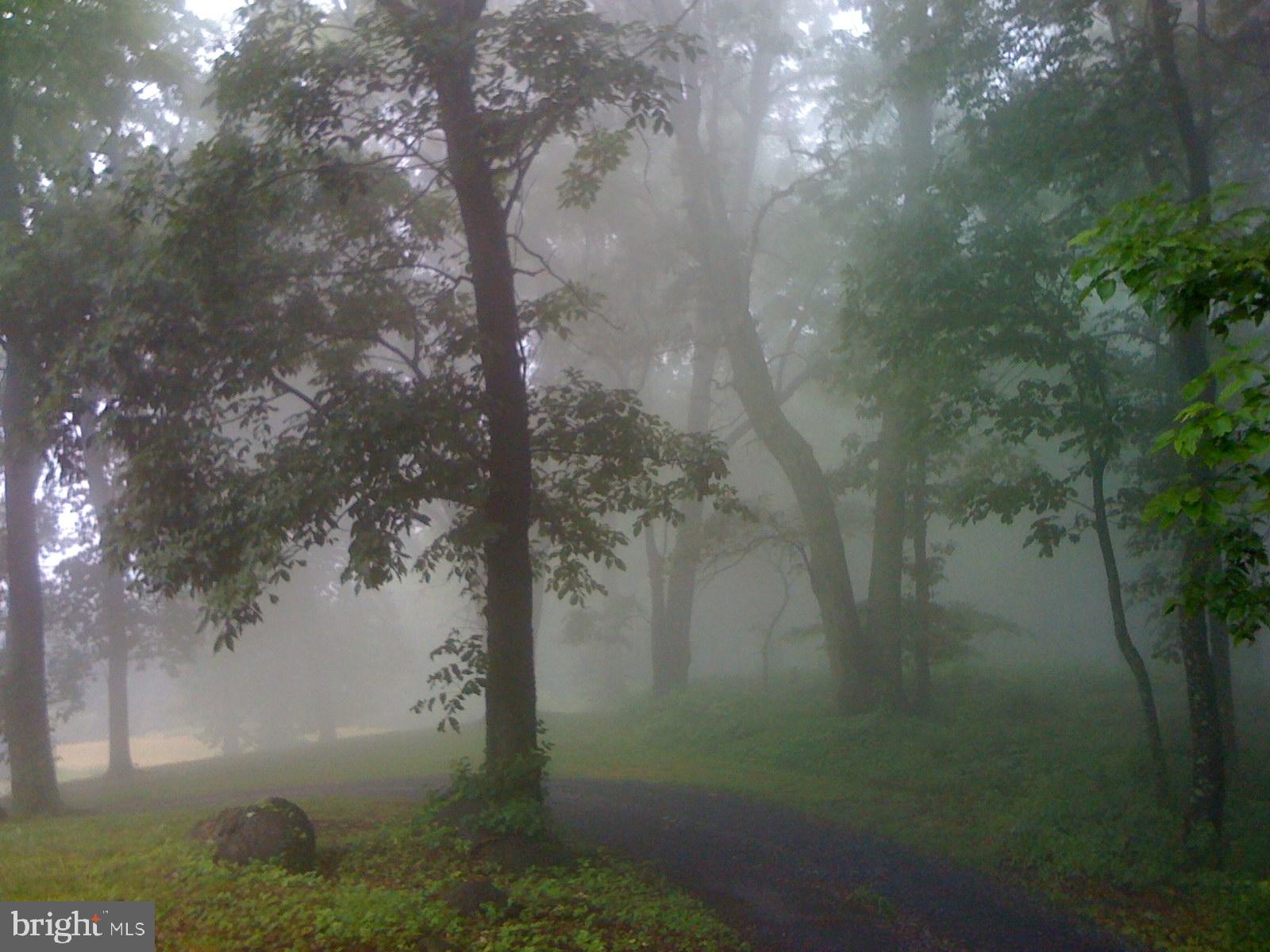 FLINT HILL - Residential