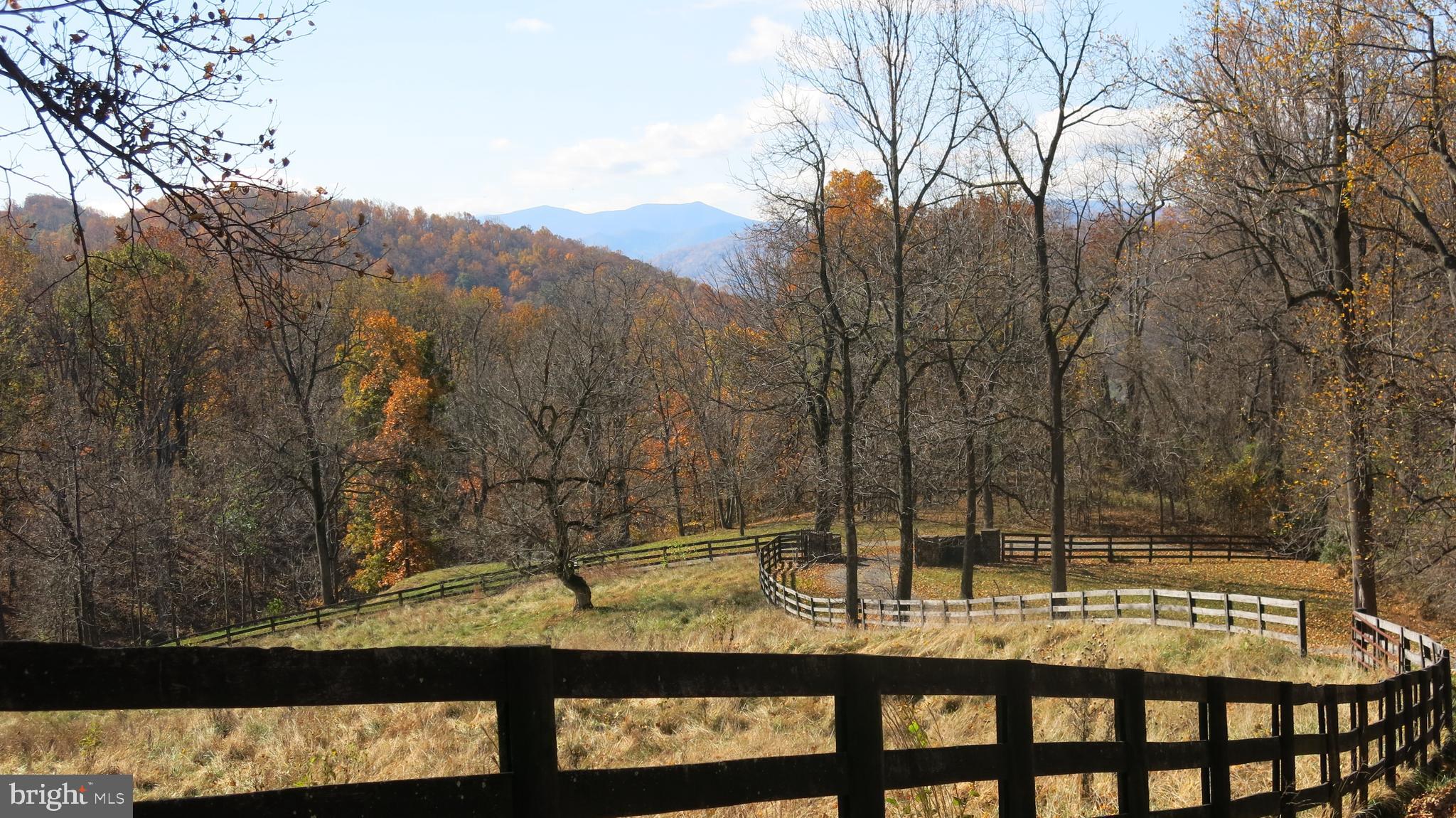 FLINT HILL - Residential