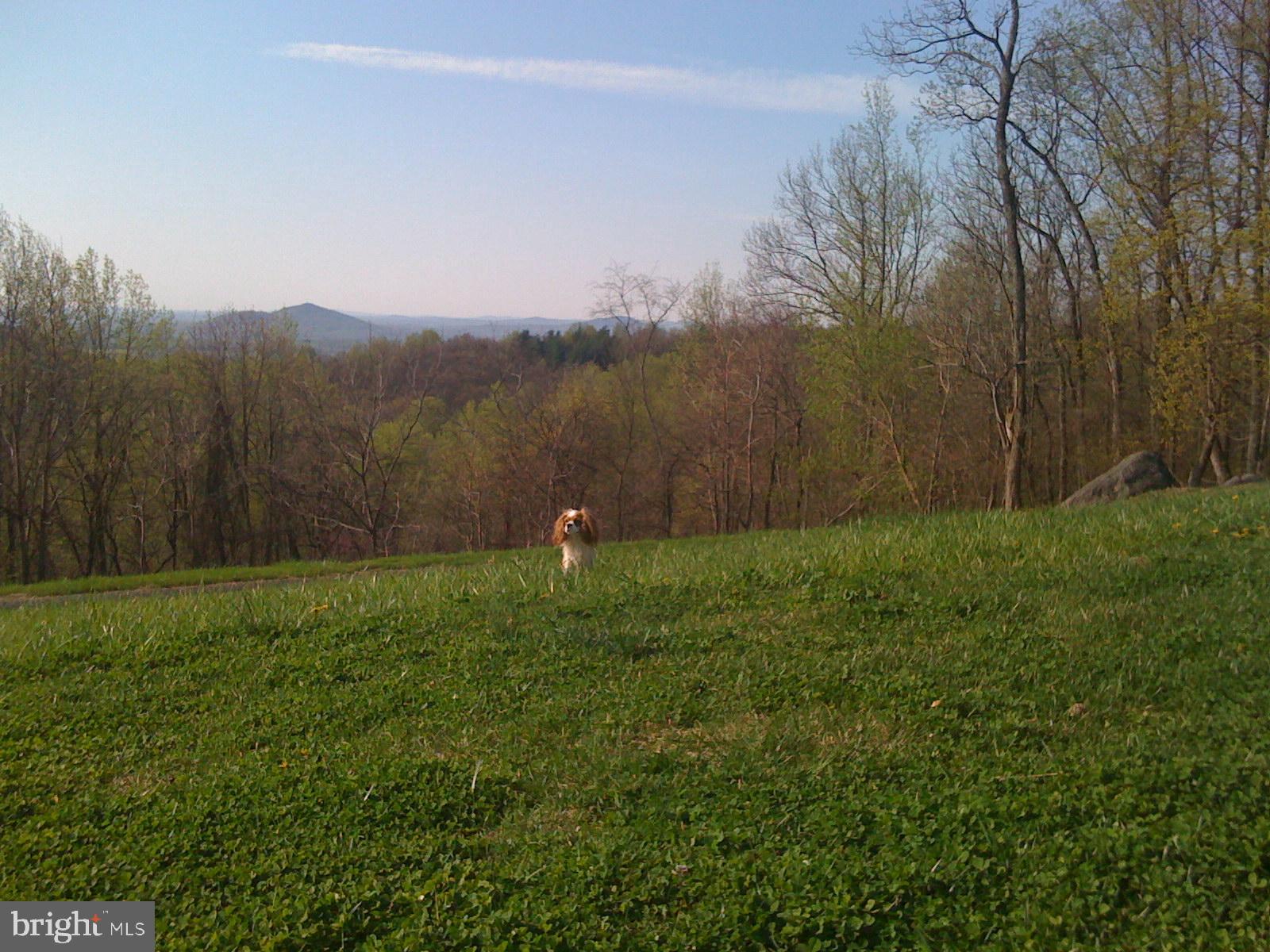 FLINT HILL - Residential