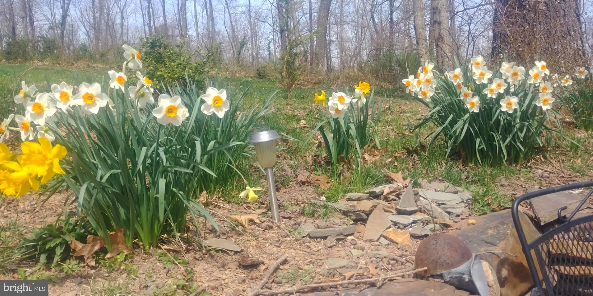 MOUNTAIN HERITAGE ESTATES - Residential