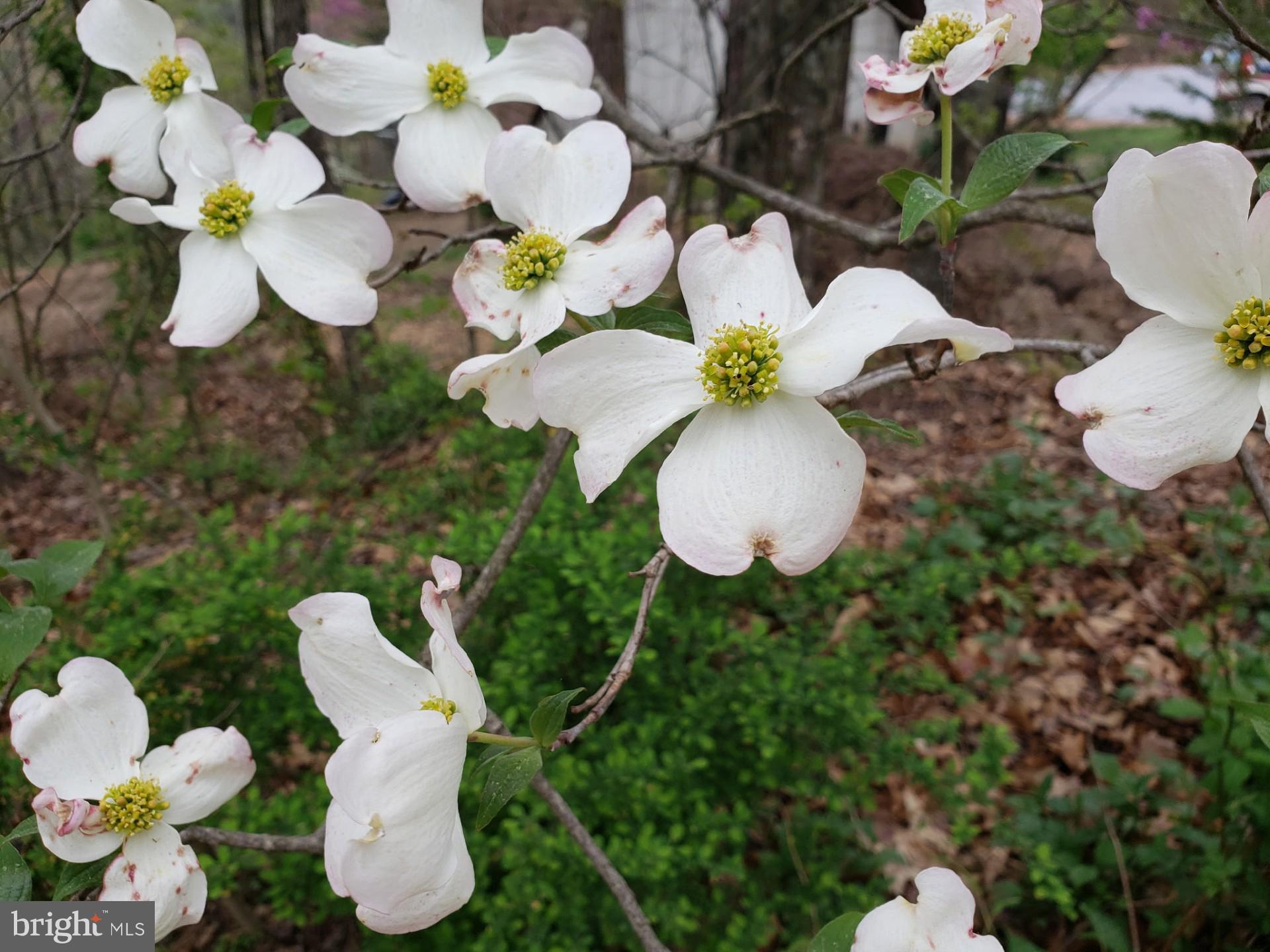 MOUNTAIN HERITAGE ESTATES - Residential