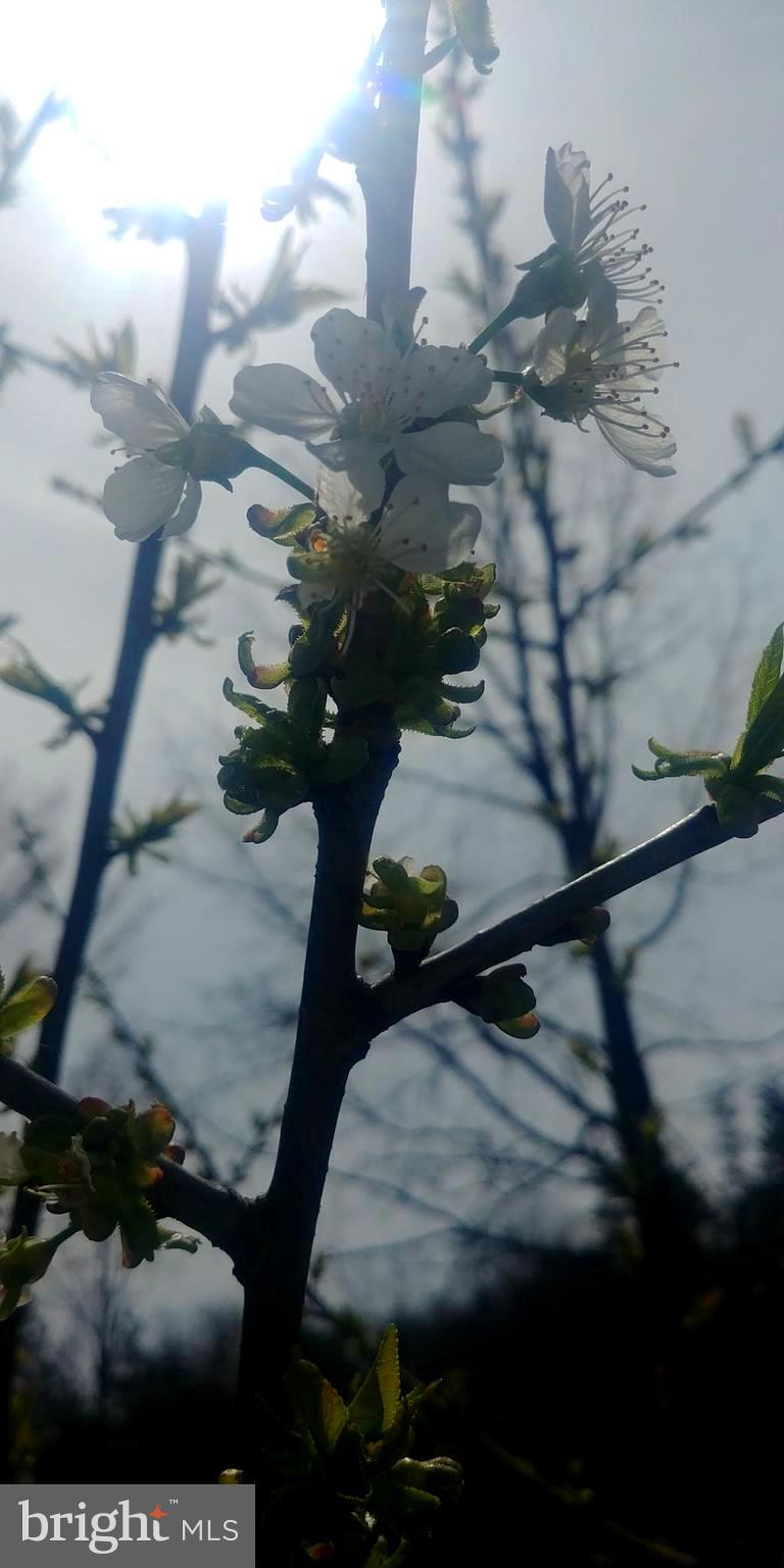 MOUNTAIN HERITAGE ESTATES - Residential