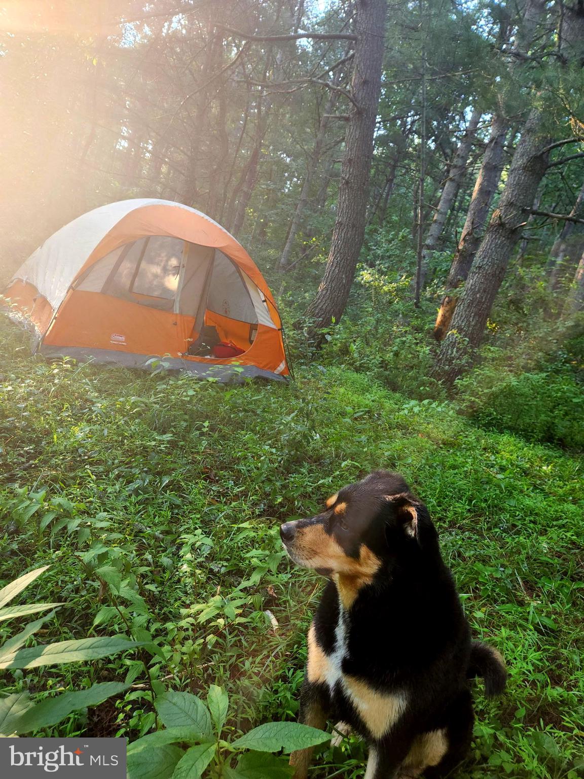 MOUNTAIN HERITAGE ESTATES - Residential