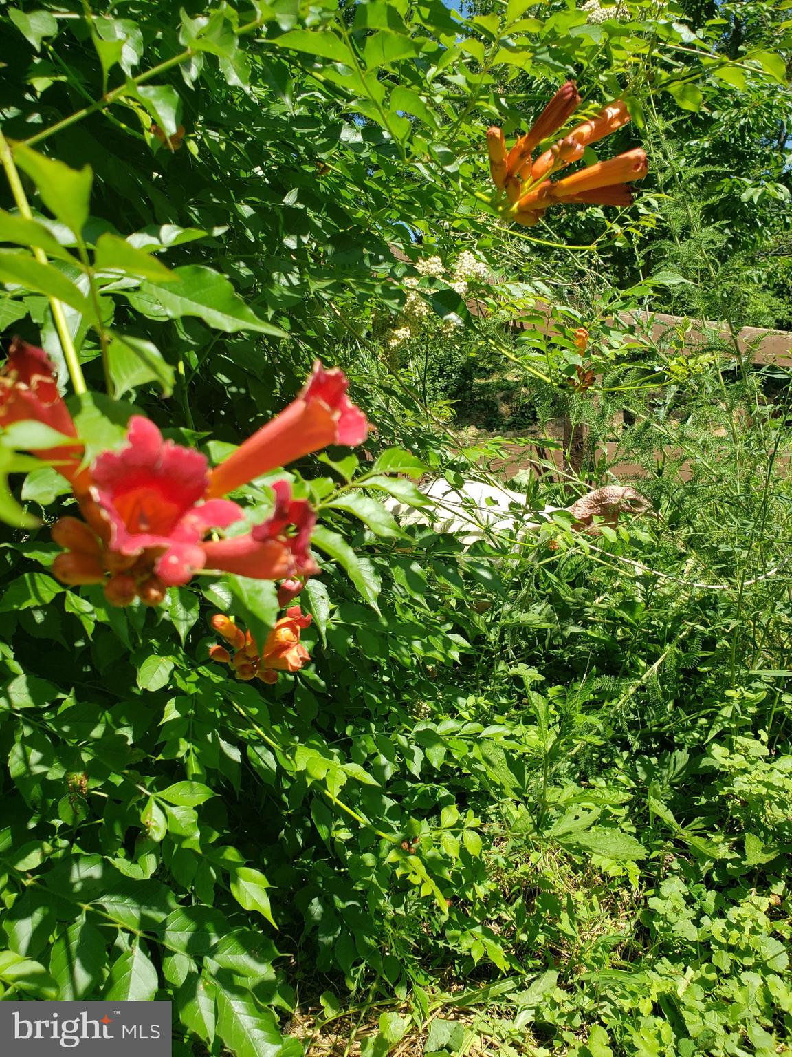 MOUNTAIN HERITAGE ESTATES - Residential