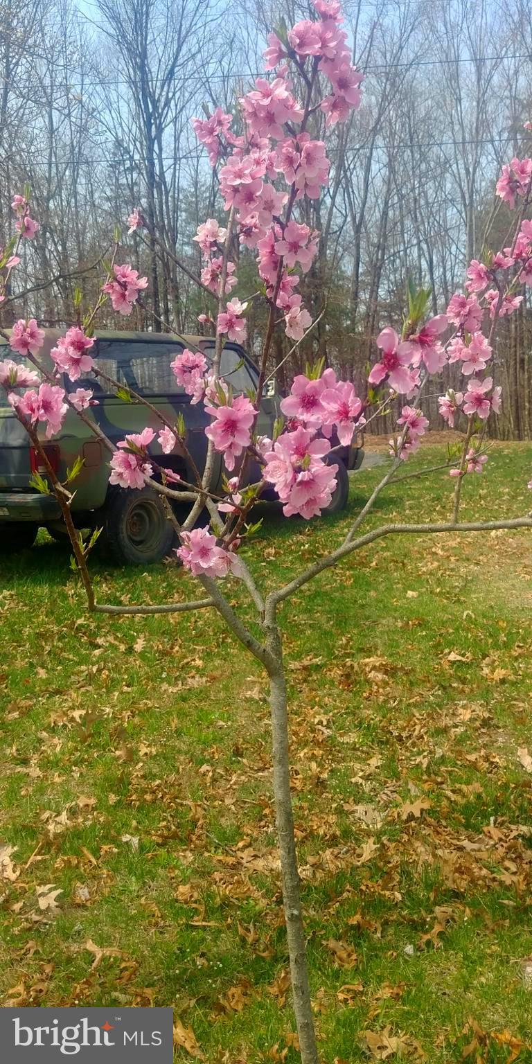 MOUNTAIN HERITAGE ESTATES - Residential