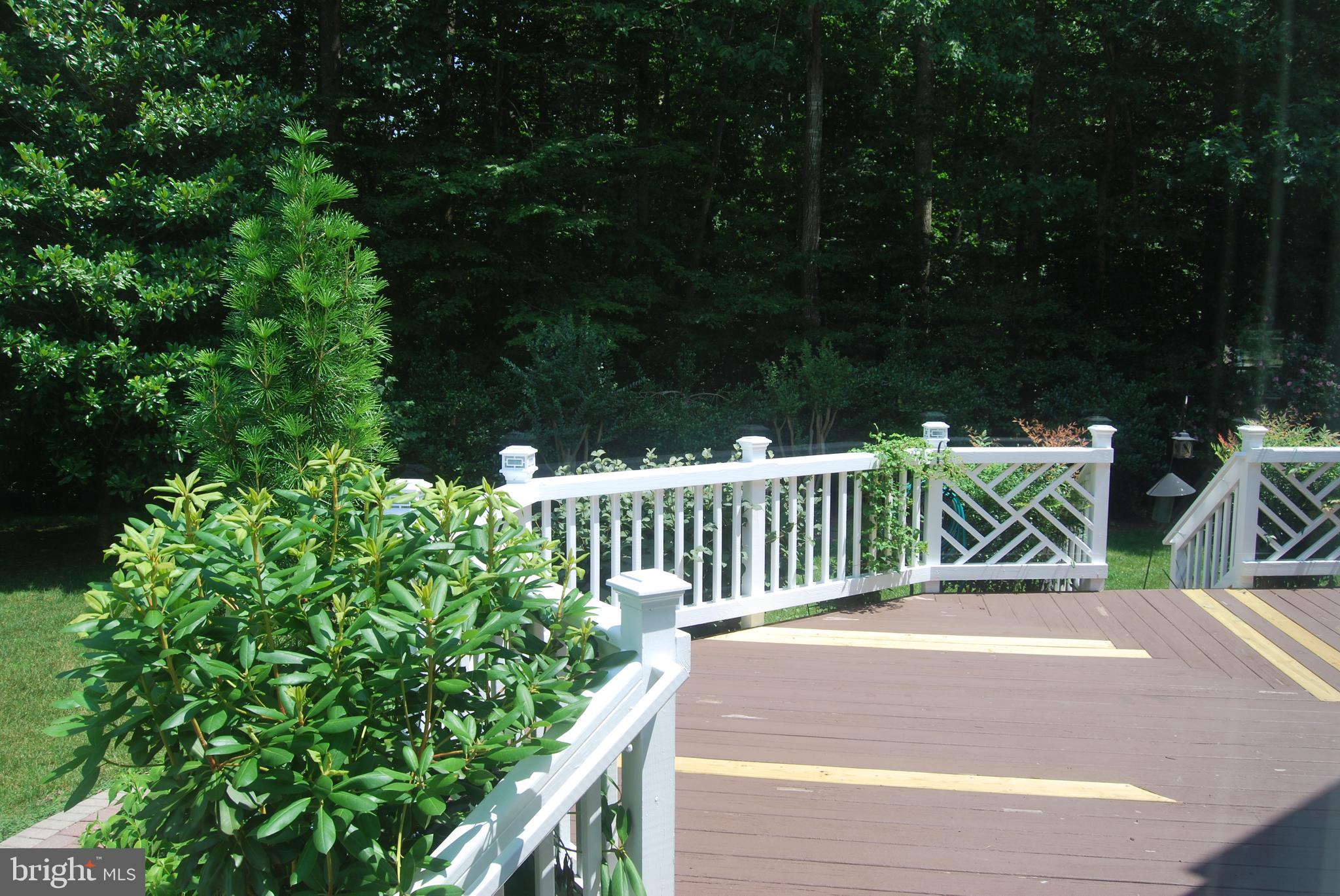 ASHLAND - Residential Lease