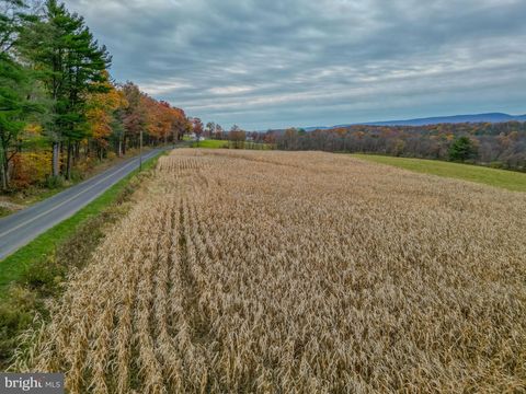 Vacant Land For Sale - Ridge Road #4 LOT<br/> BEAVER SPRINGS, PA 17812