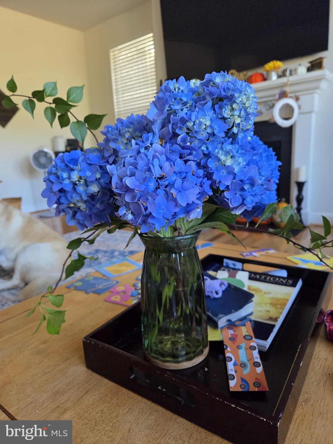 EMBREY MILL - Residential