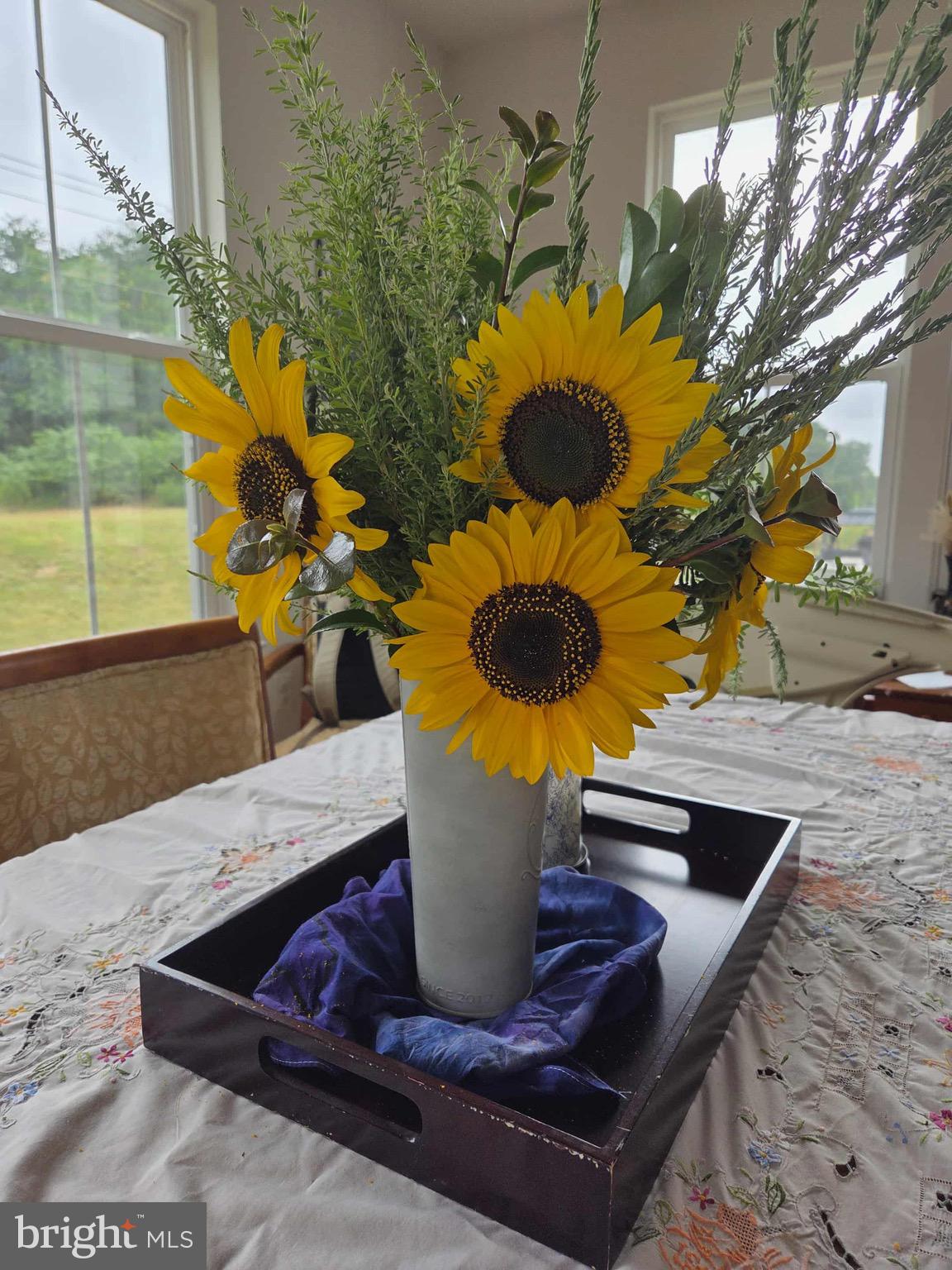 EMBREY MILL - Residential