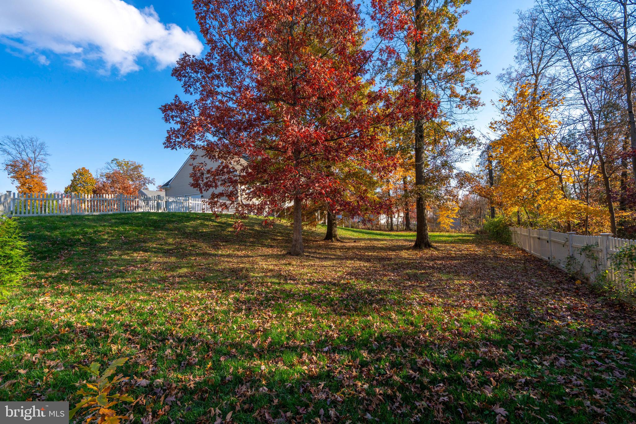 WOODED RIDGE - Residential