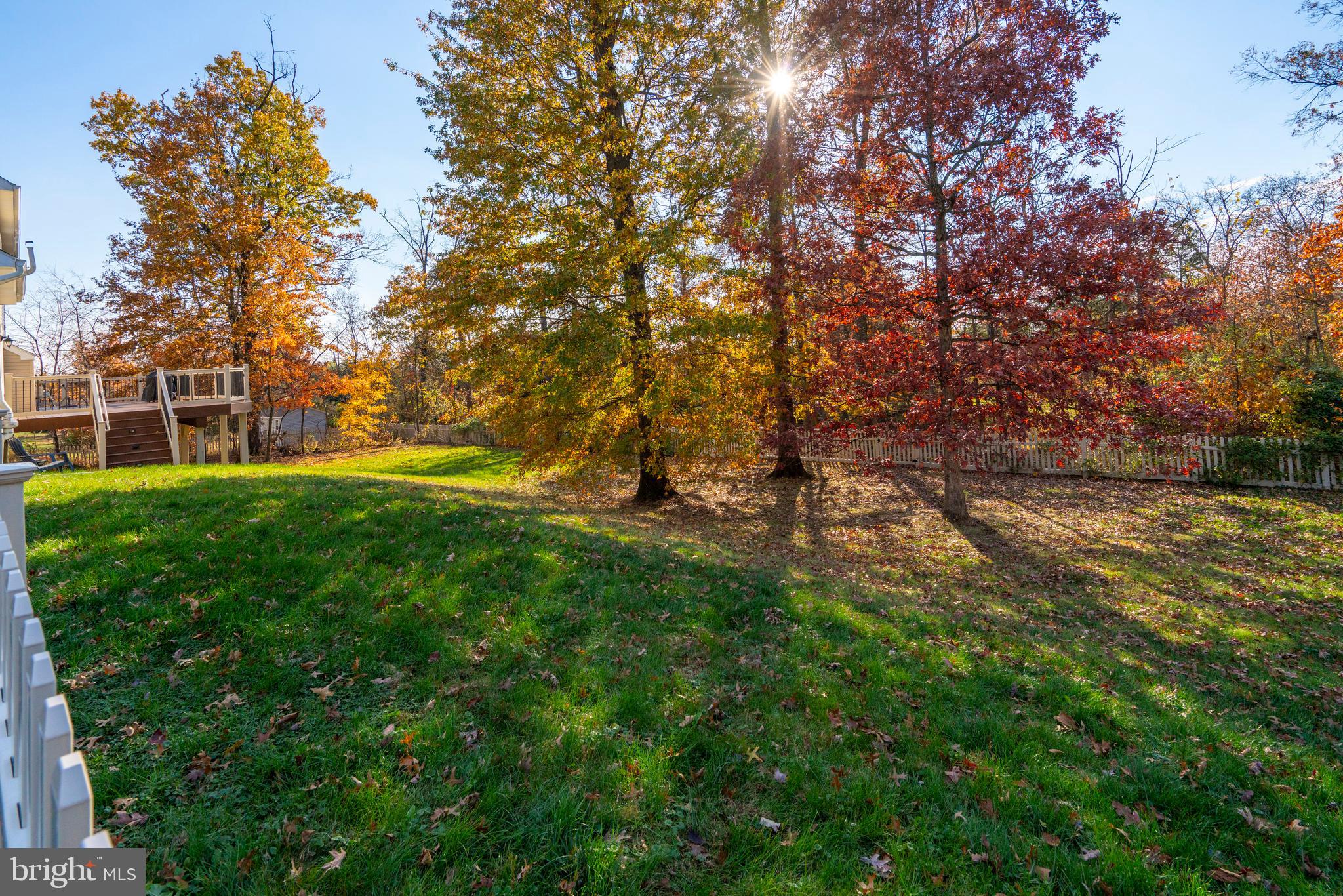 WOODED RIDGE - Residential
