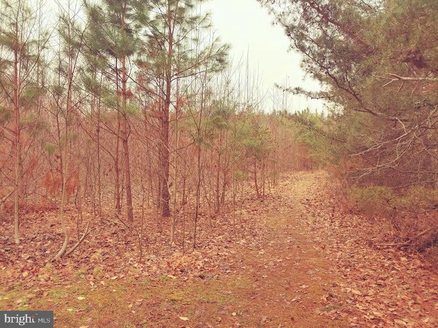 Build your dream home on this beautiful parcel of land. This is a great location that is a short distance to shopping and more. Shorten your commute. Over 5 acres of awesomeness! Peaceful and serene.