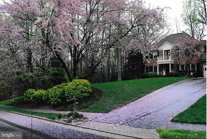 WESTRIDGE/REIDS PROSPECT - Residential