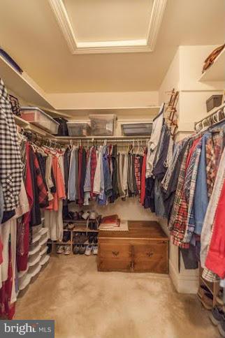 WESTRIDGE/REIDS PROSPECT - Residential