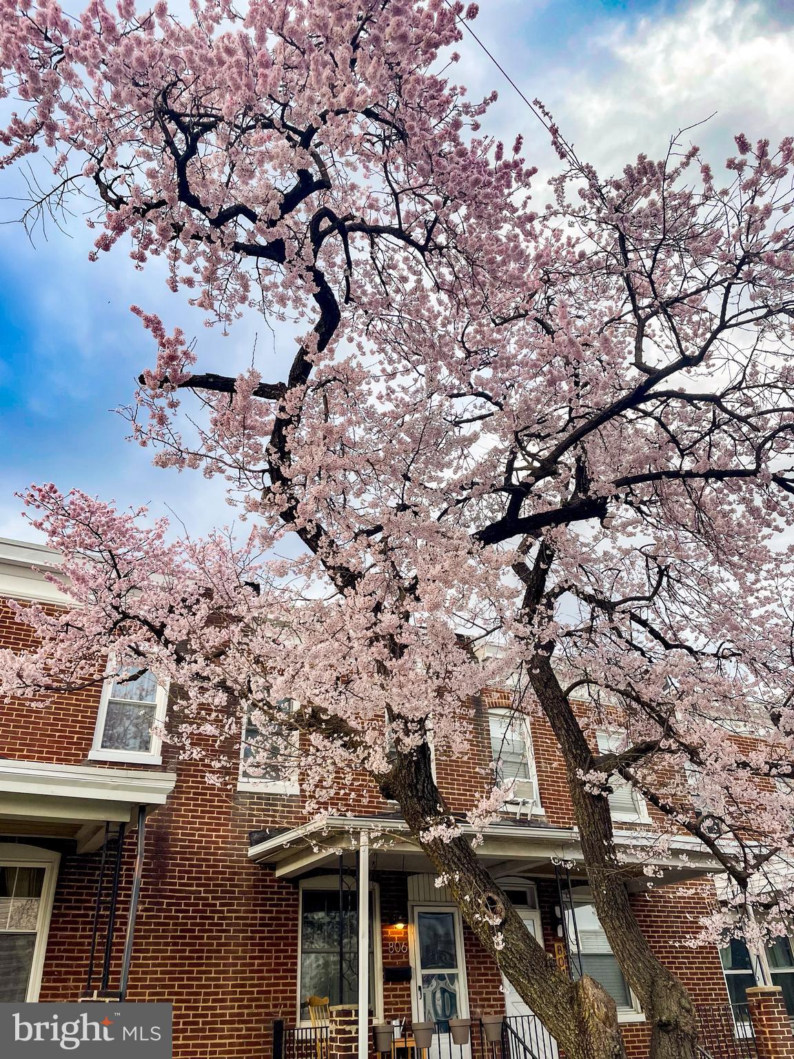 HAMPDEN HISTORIC DISTRICT - Residential