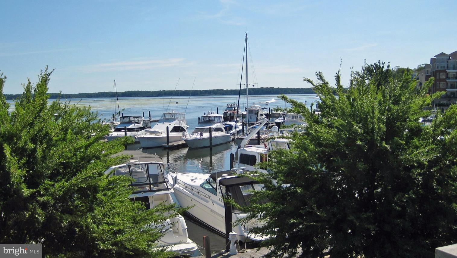 BELMONT BAY - Residential Lease