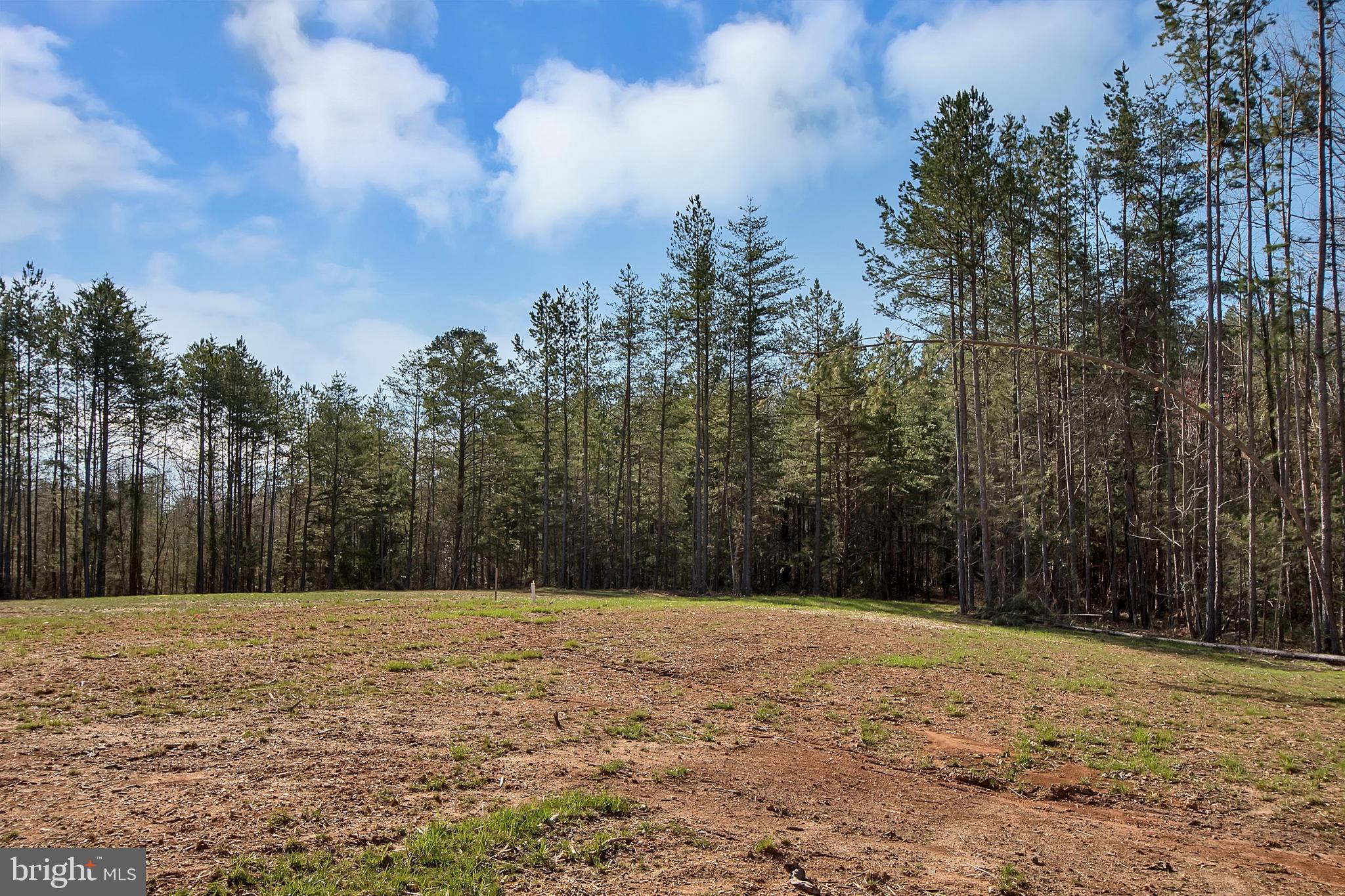 GOVERNOR SPOTSWOOD ESTATES - Residential