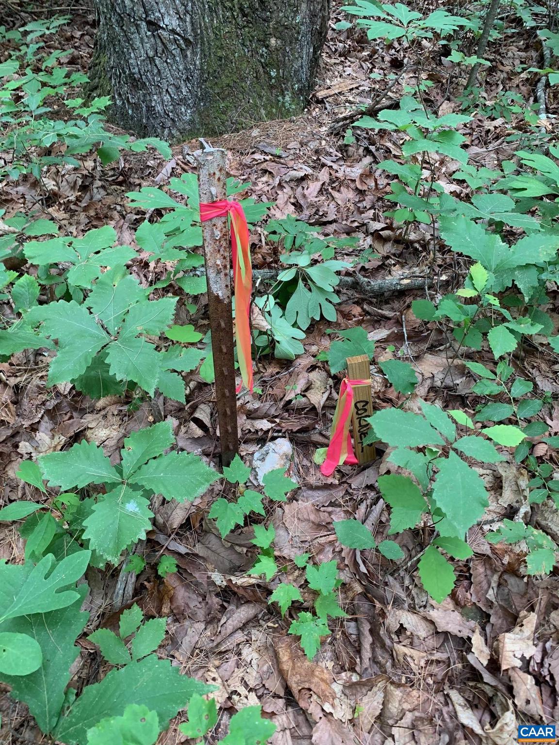 NONE AVAILABLE - Land