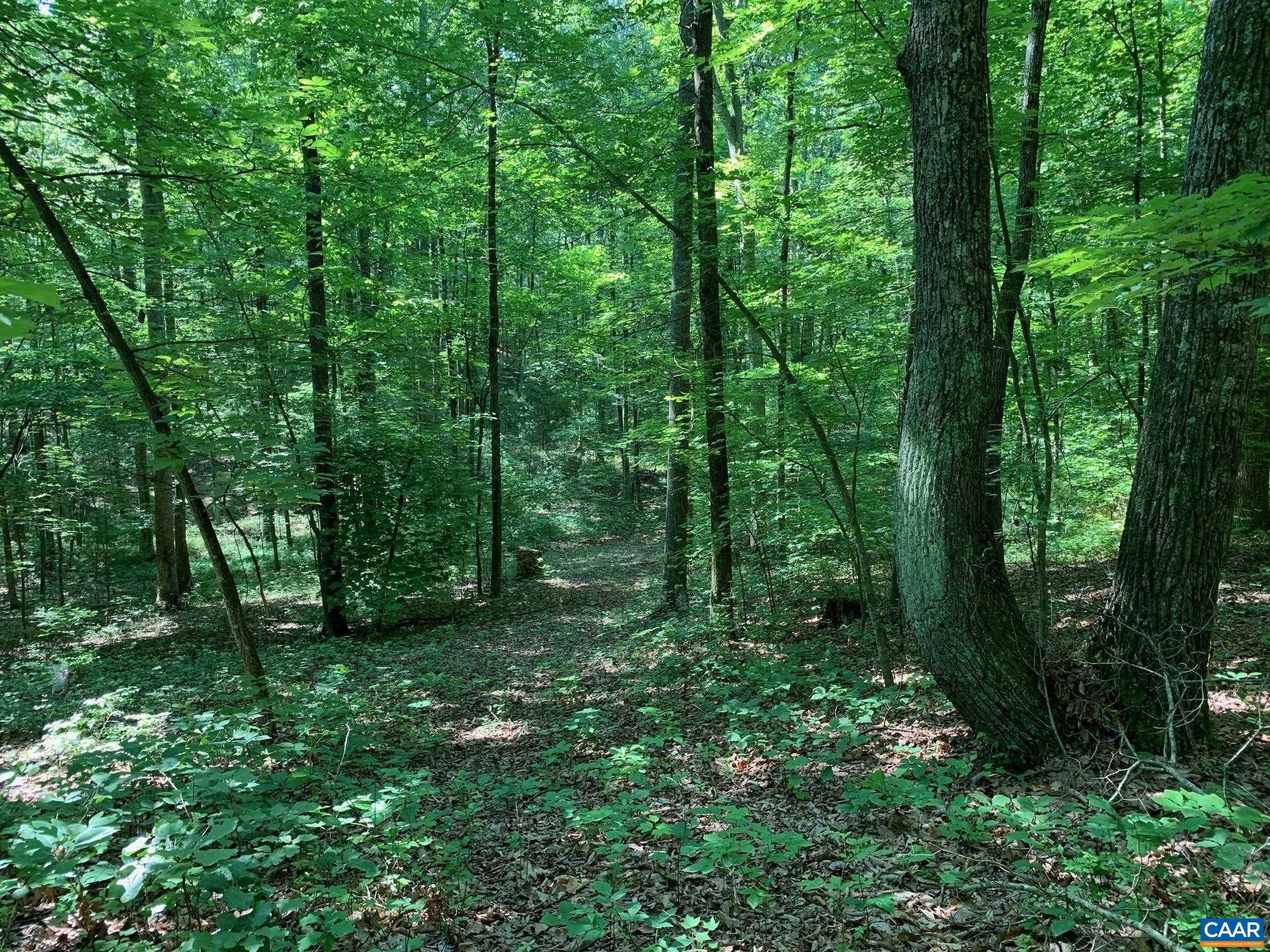 NONE AVAILABLE - Land