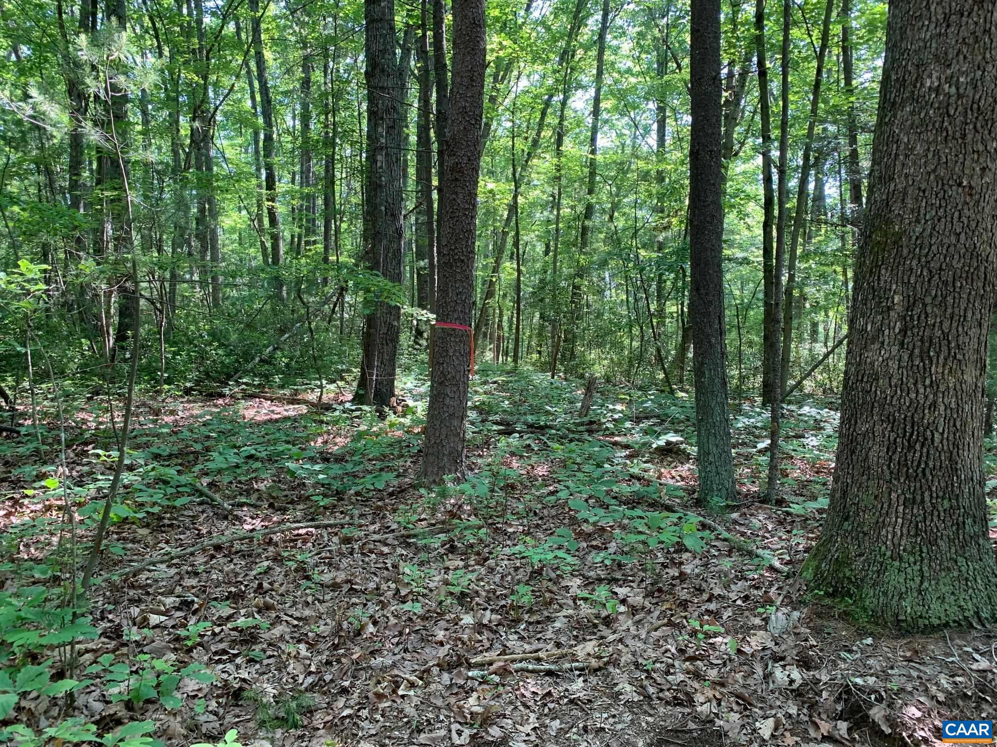 NONE AVAILABLE - Land