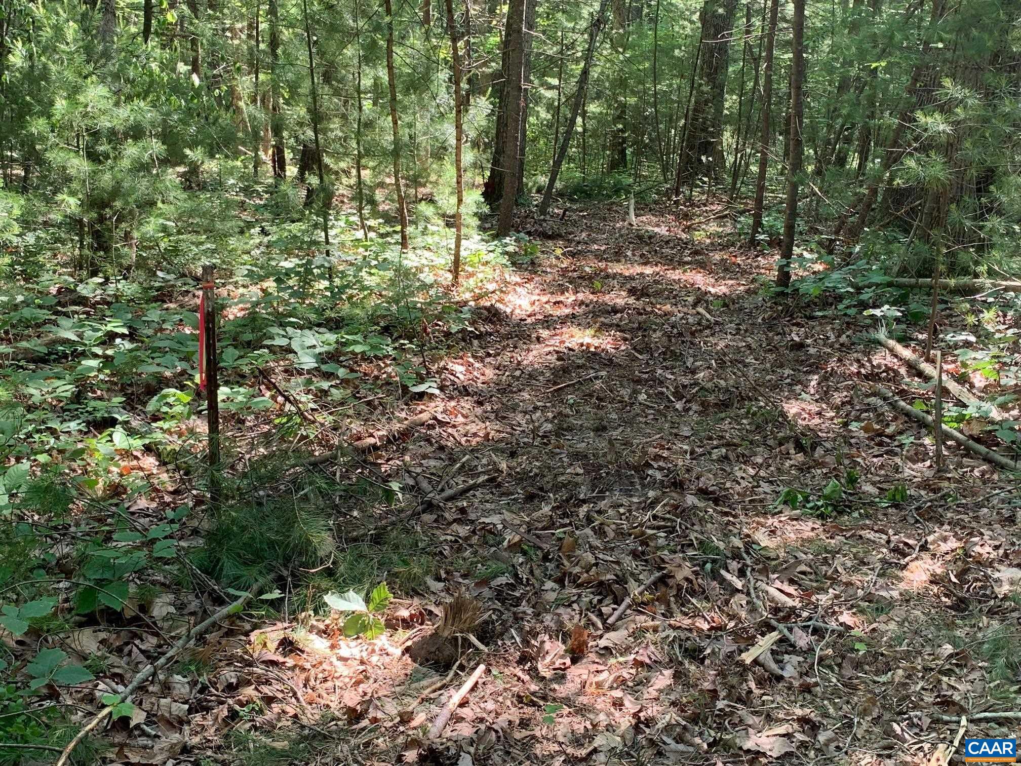 NONE AVAILABLE - Land