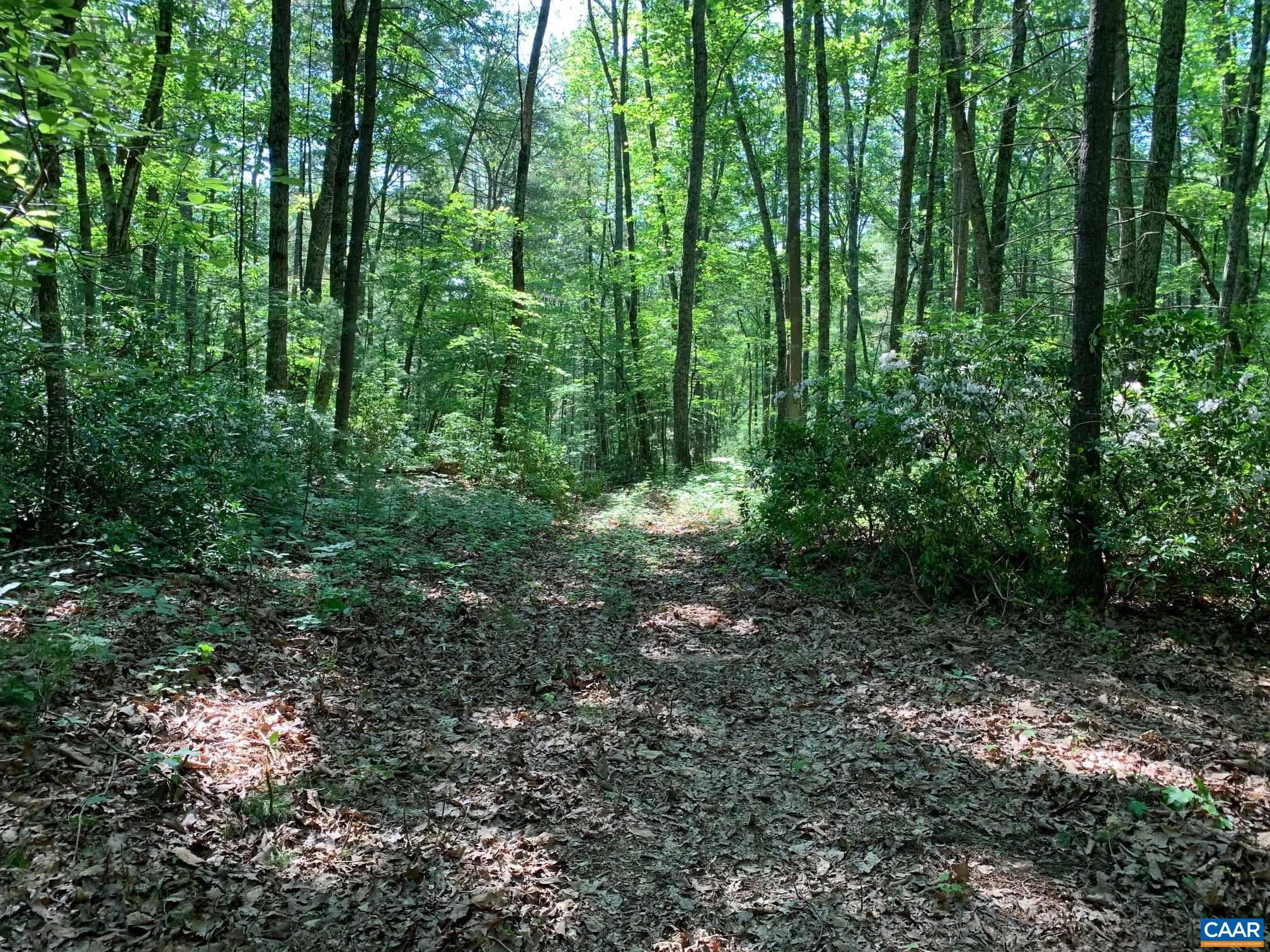 NONE AVAILABLE - Land