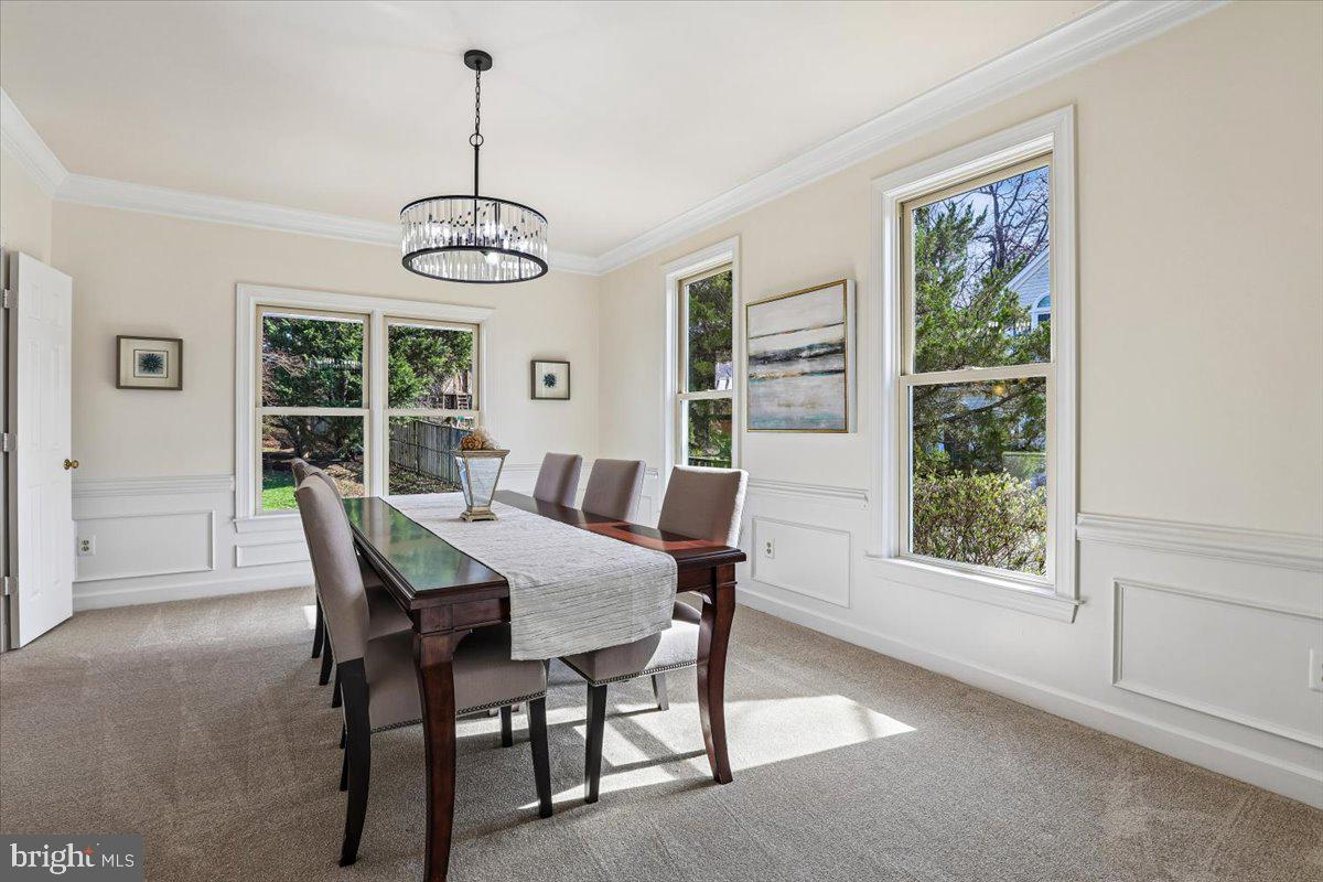 HAMDEN VALE - Residential