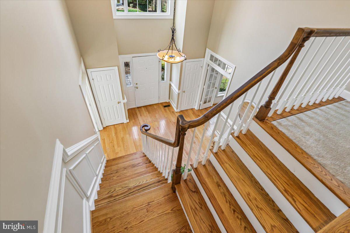 HAMDEN VALE - Residential