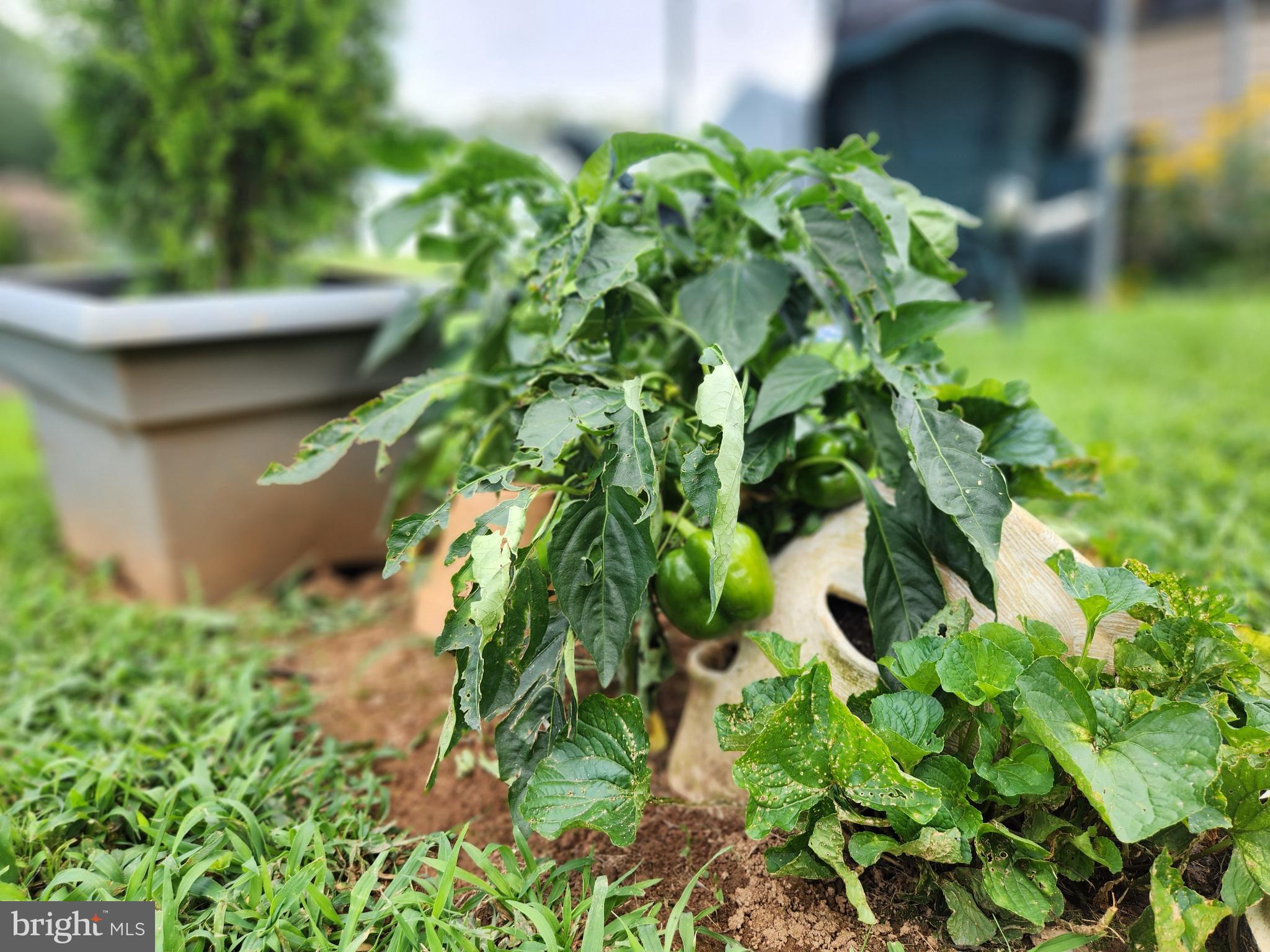 MARGARETTA MHP - Residential