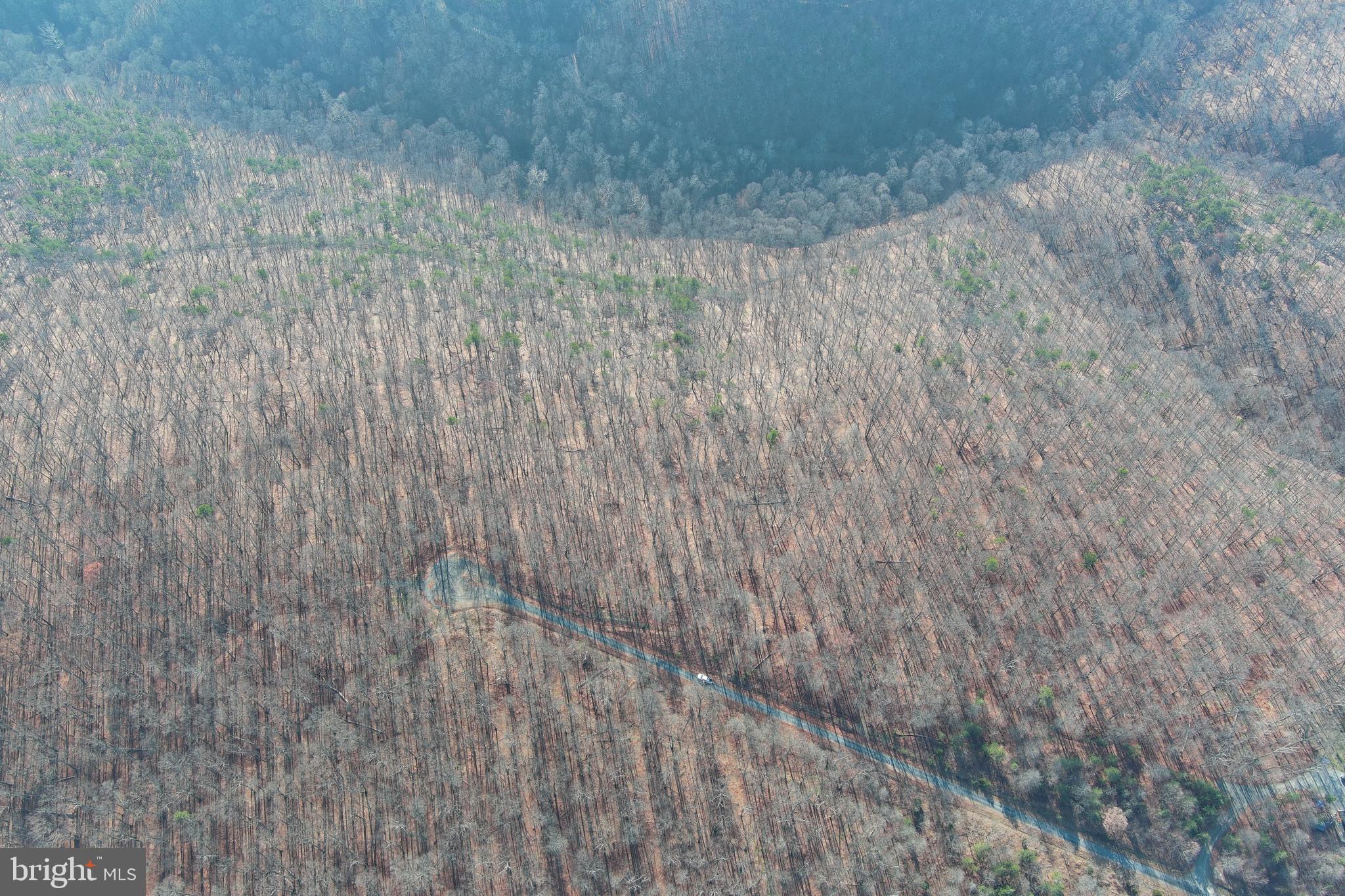 BLUFFS ON THE POTOMAC - Land