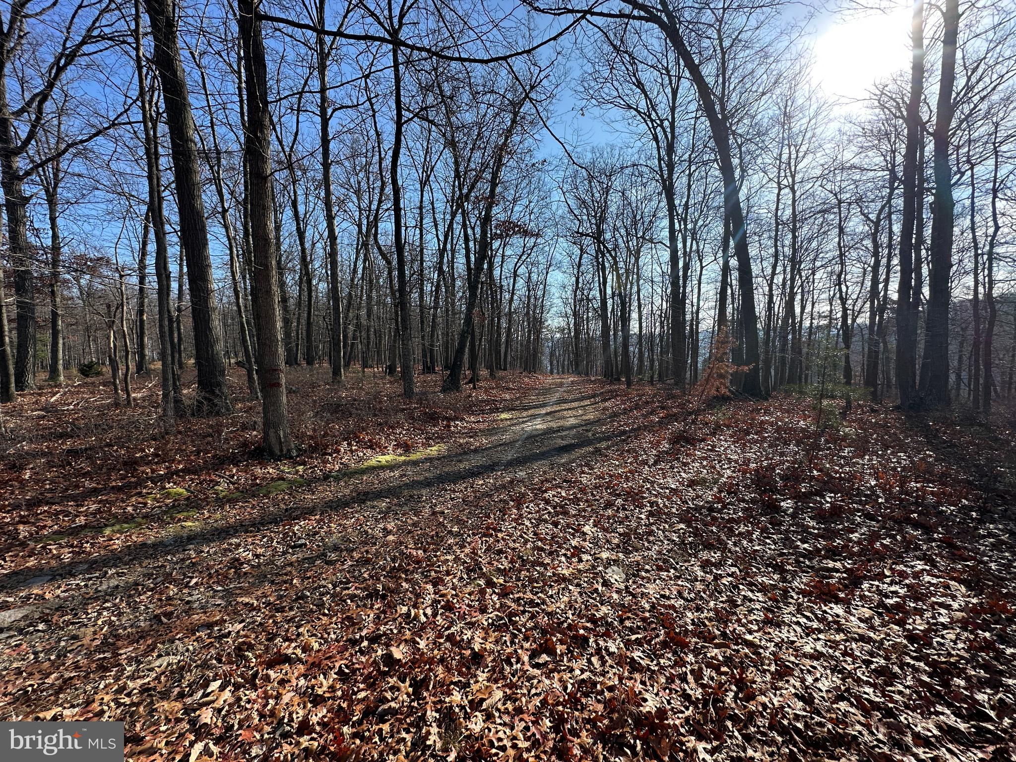 BLUFFS ON THE POTOMAC - Land