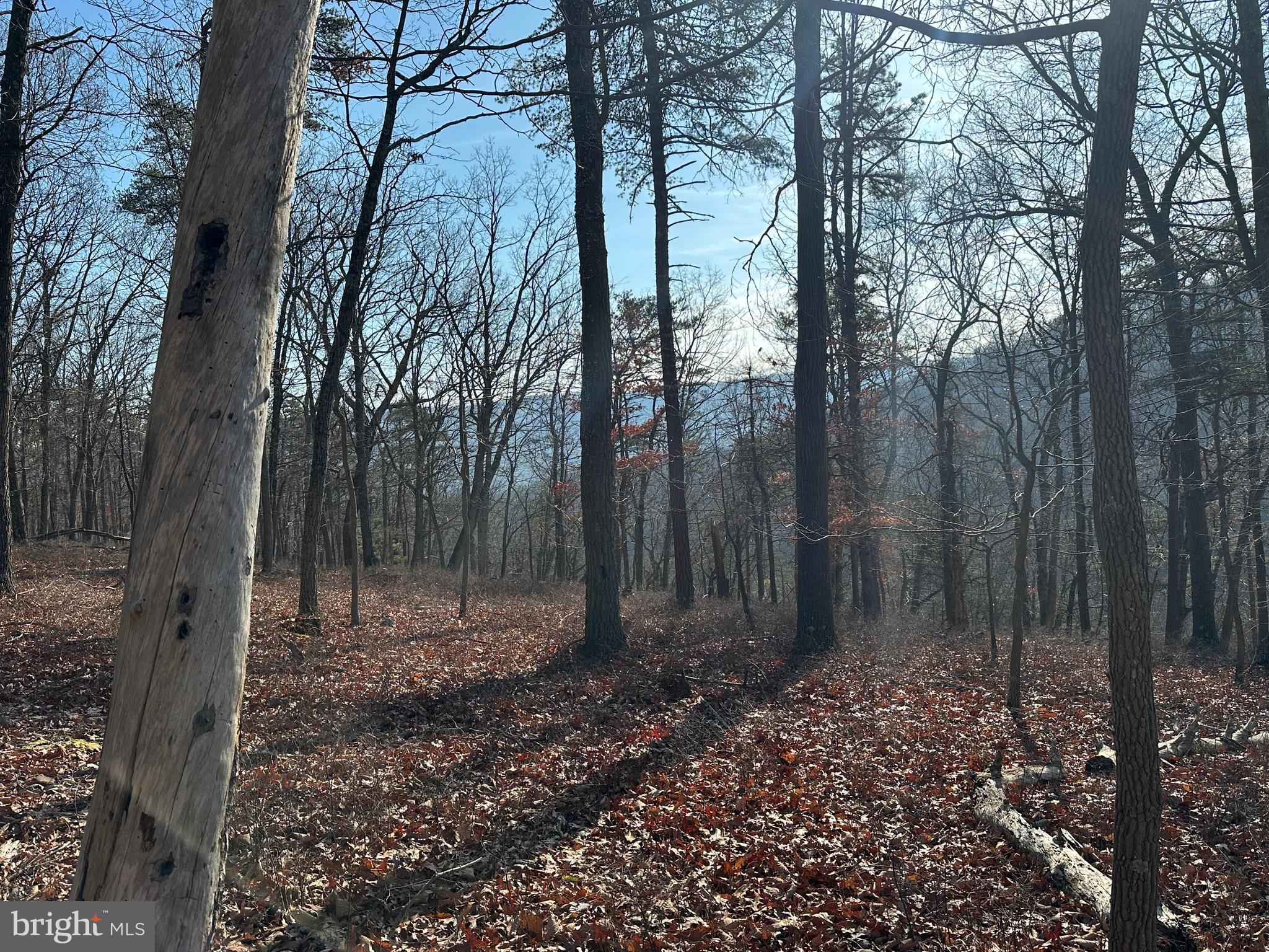 BLUFFS ON THE POTOMAC - Land