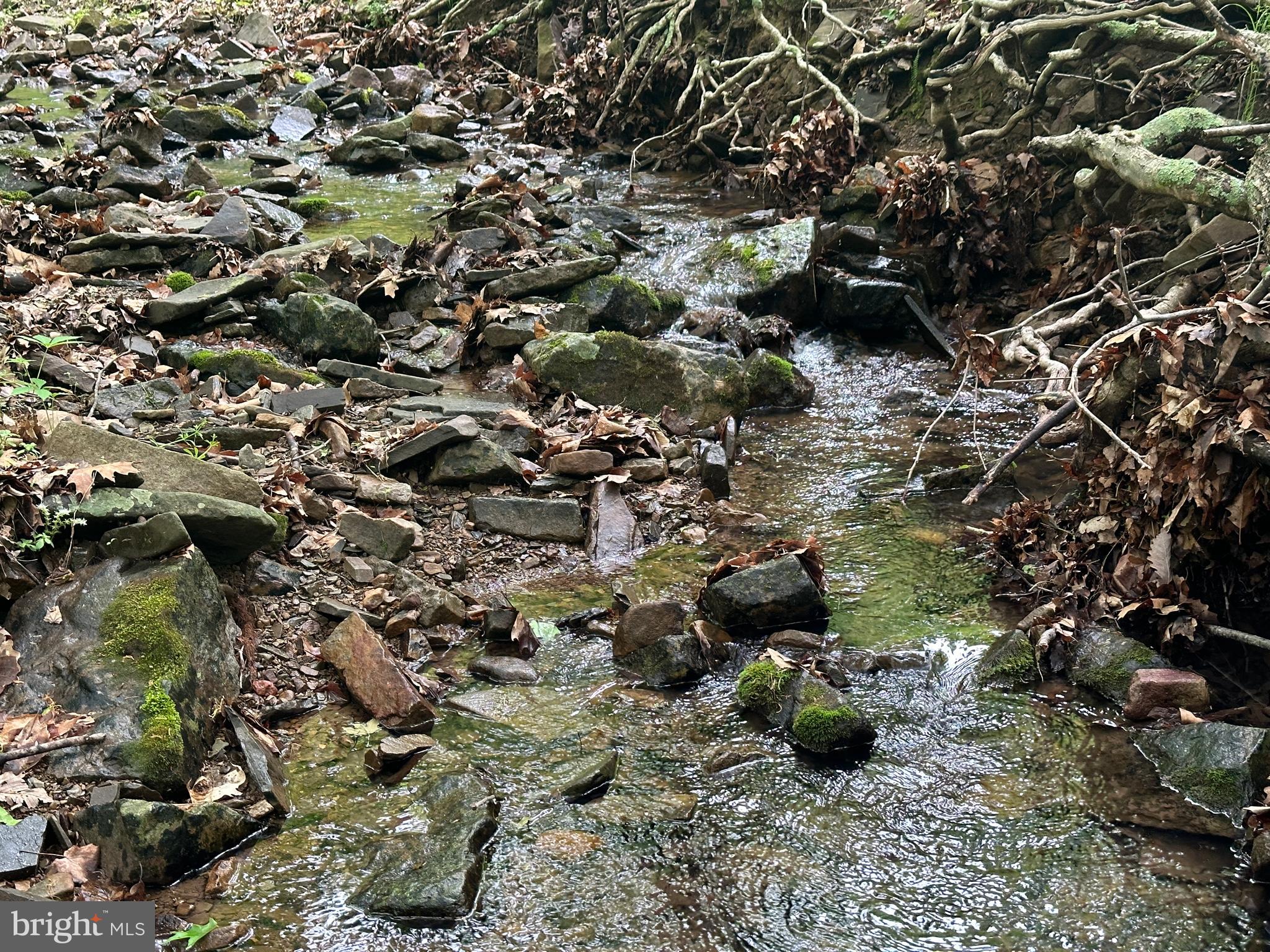 BLUFFS ON THE POTOMAC - Land