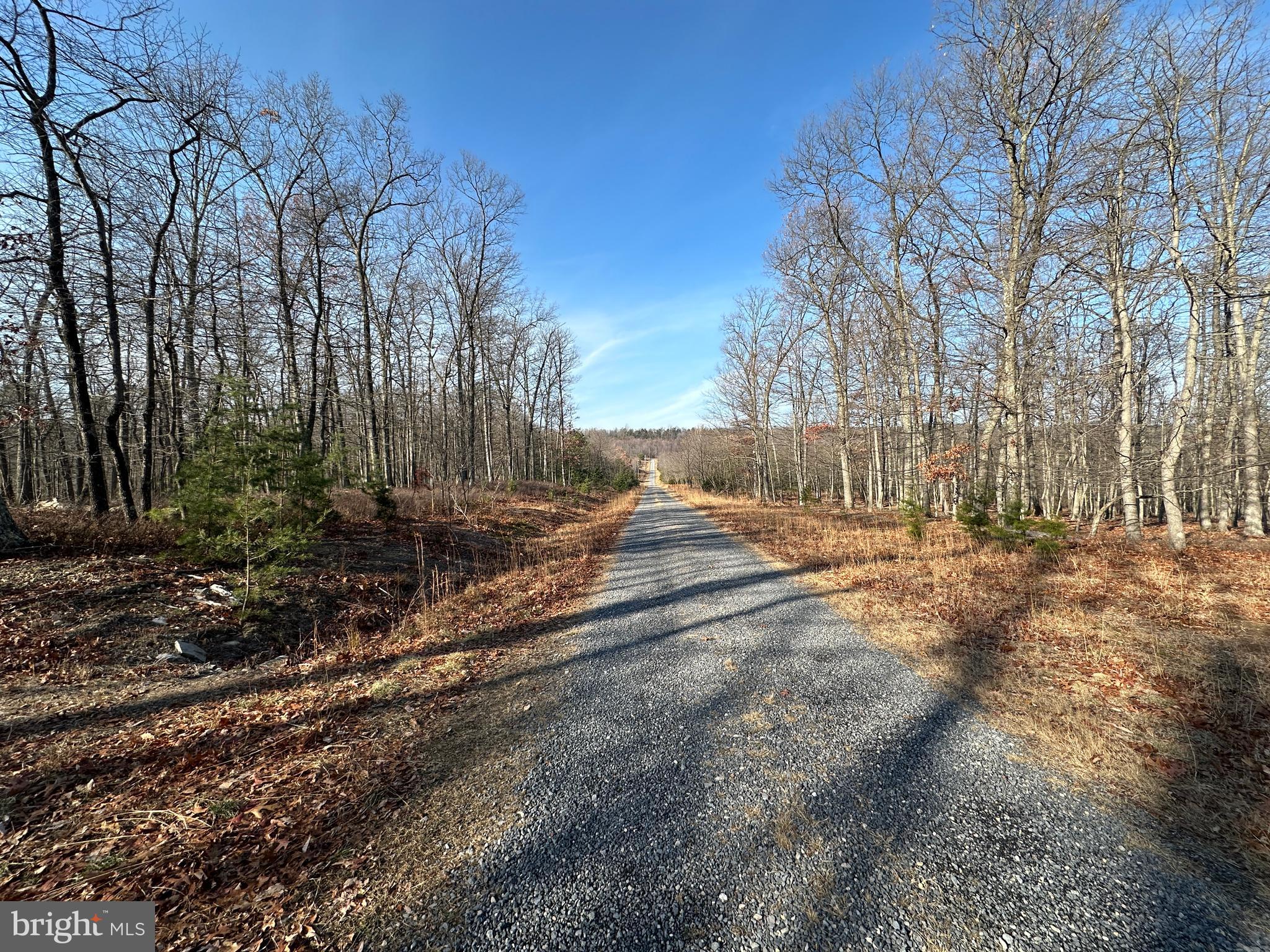 BLUFFS ON THE POTOMAC - Land