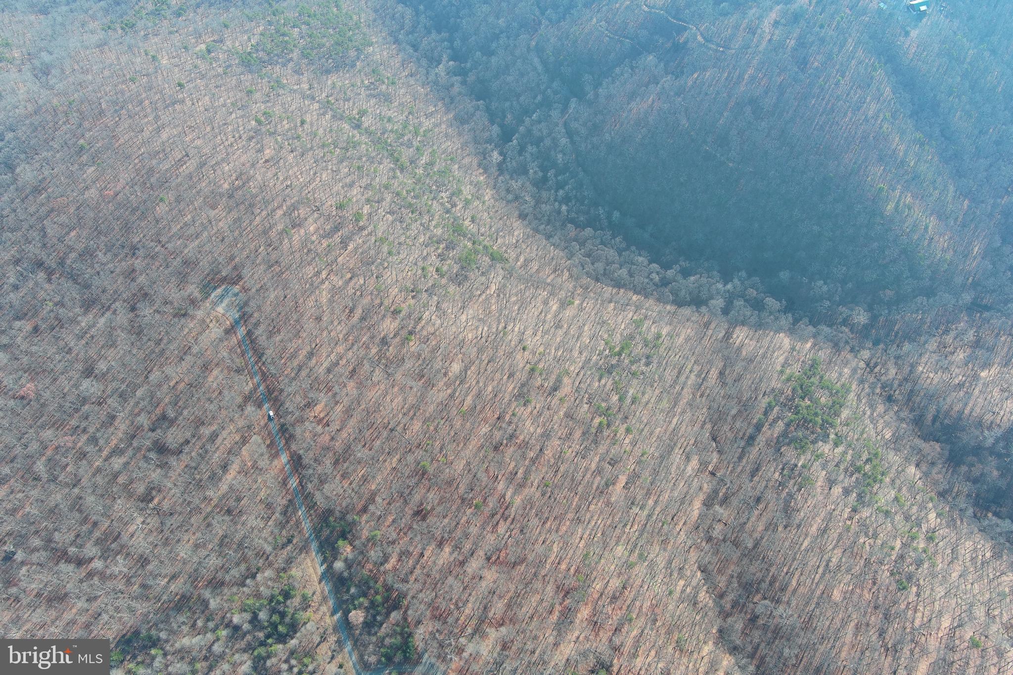 BLUFFS ON THE POTOMAC - Land