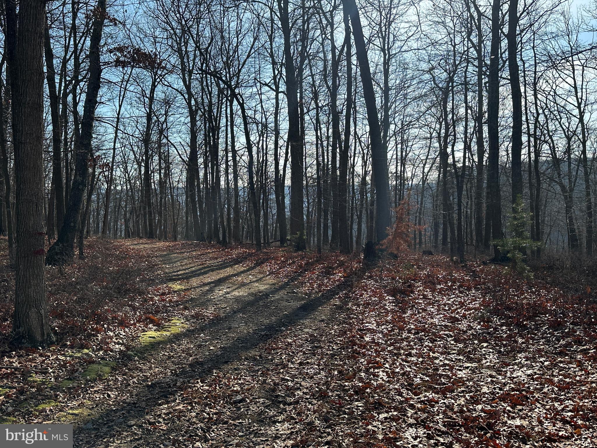 BLUFFS ON THE POTOMAC - Land