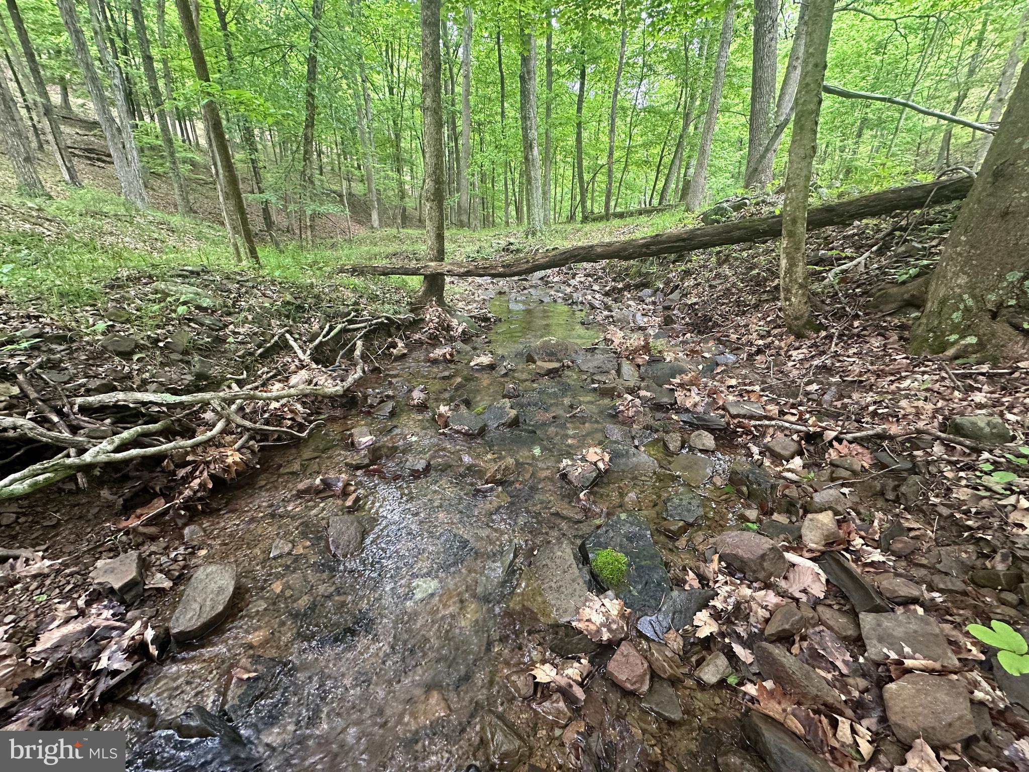 BLUFFS ON THE POTOMAC - Land