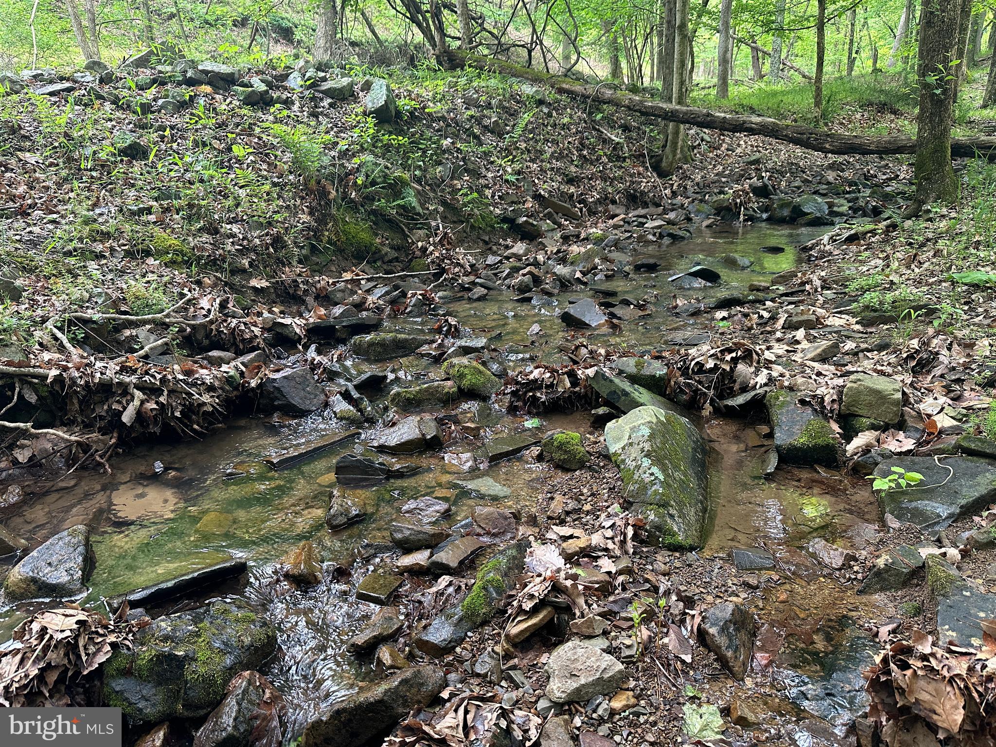 BLUFFS ON THE POTOMAC - Land