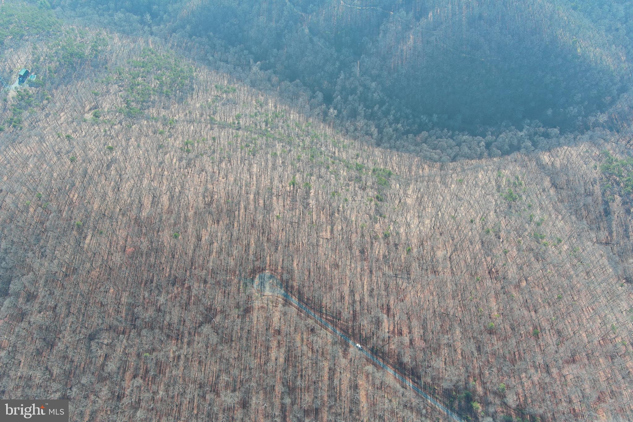 BLUFFS ON THE POTOMAC - Land