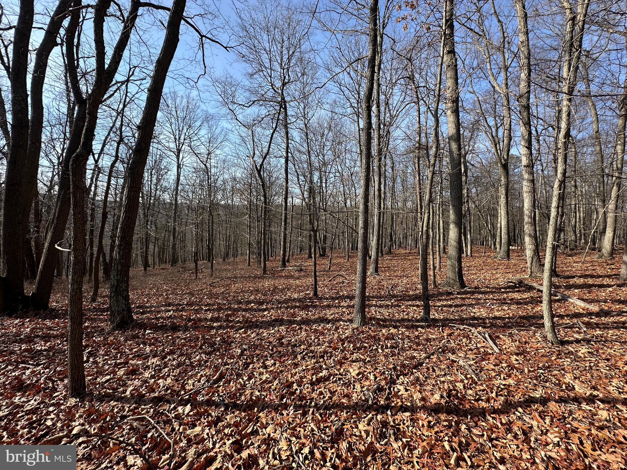 BLUFFS ON THE POTOMAC - Land