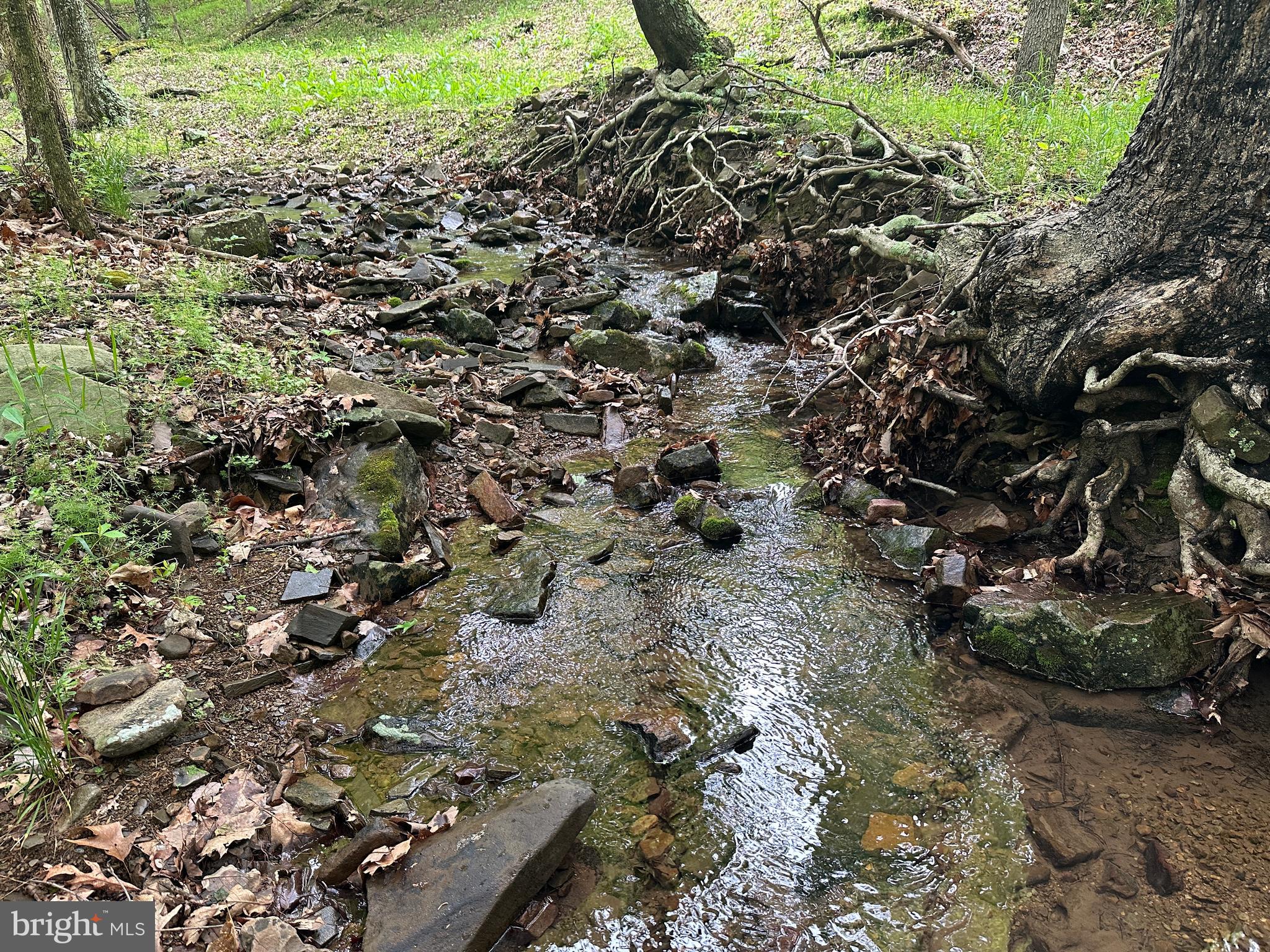 BLUFFS ON THE POTOMAC - Land