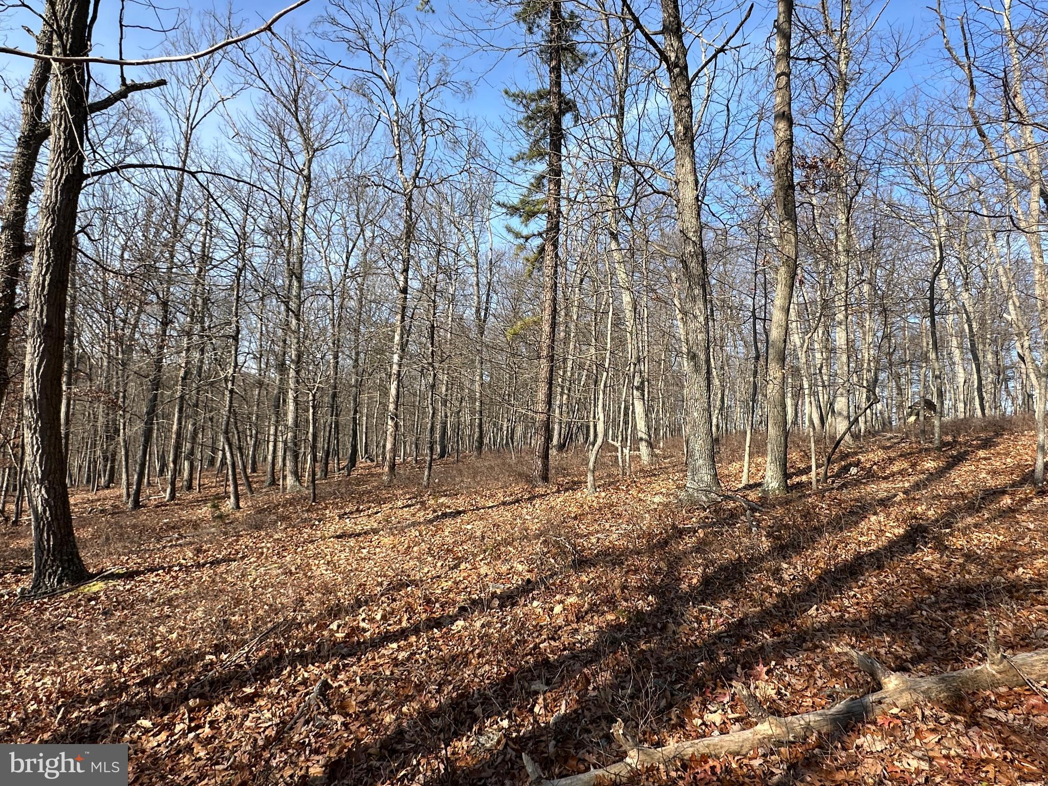 BLUFFS ON THE POTOMAC - Land