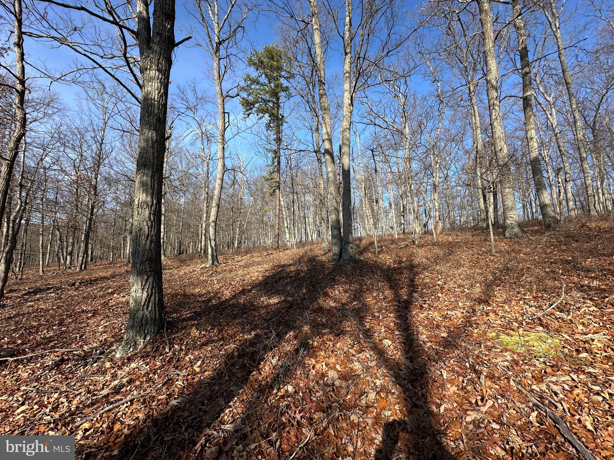 BLUFFS ON THE POTOMAC - Land