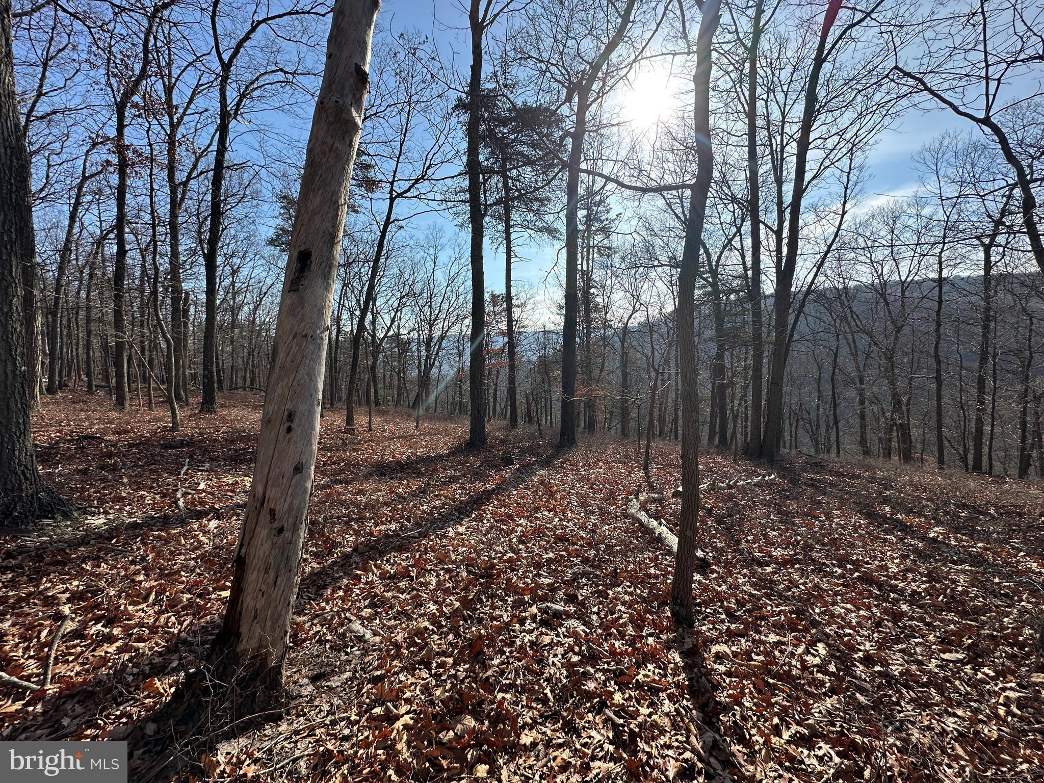 BLUFFS ON THE POTOMAC - Land