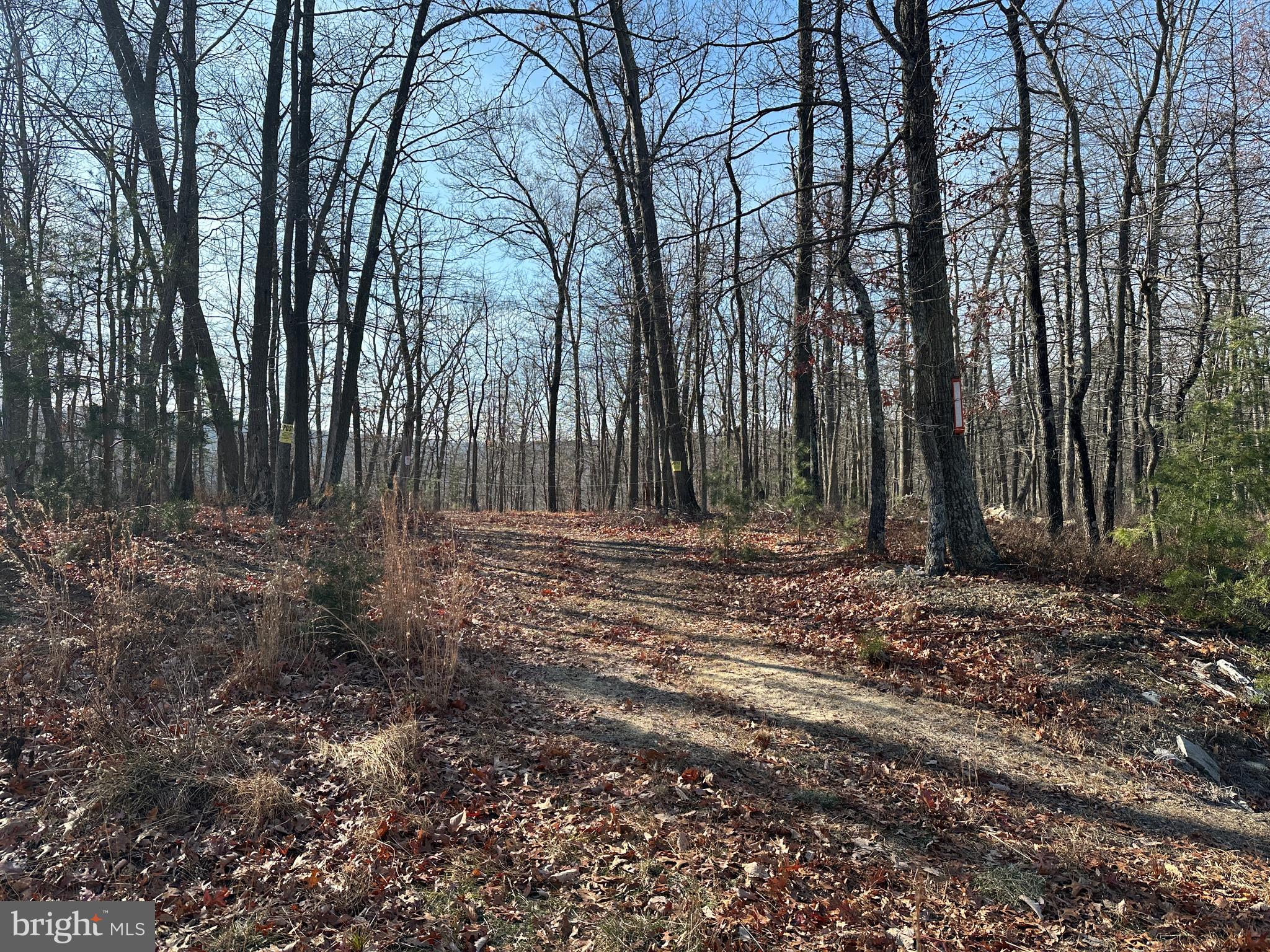 BLUFFS ON THE POTOMAC - Land