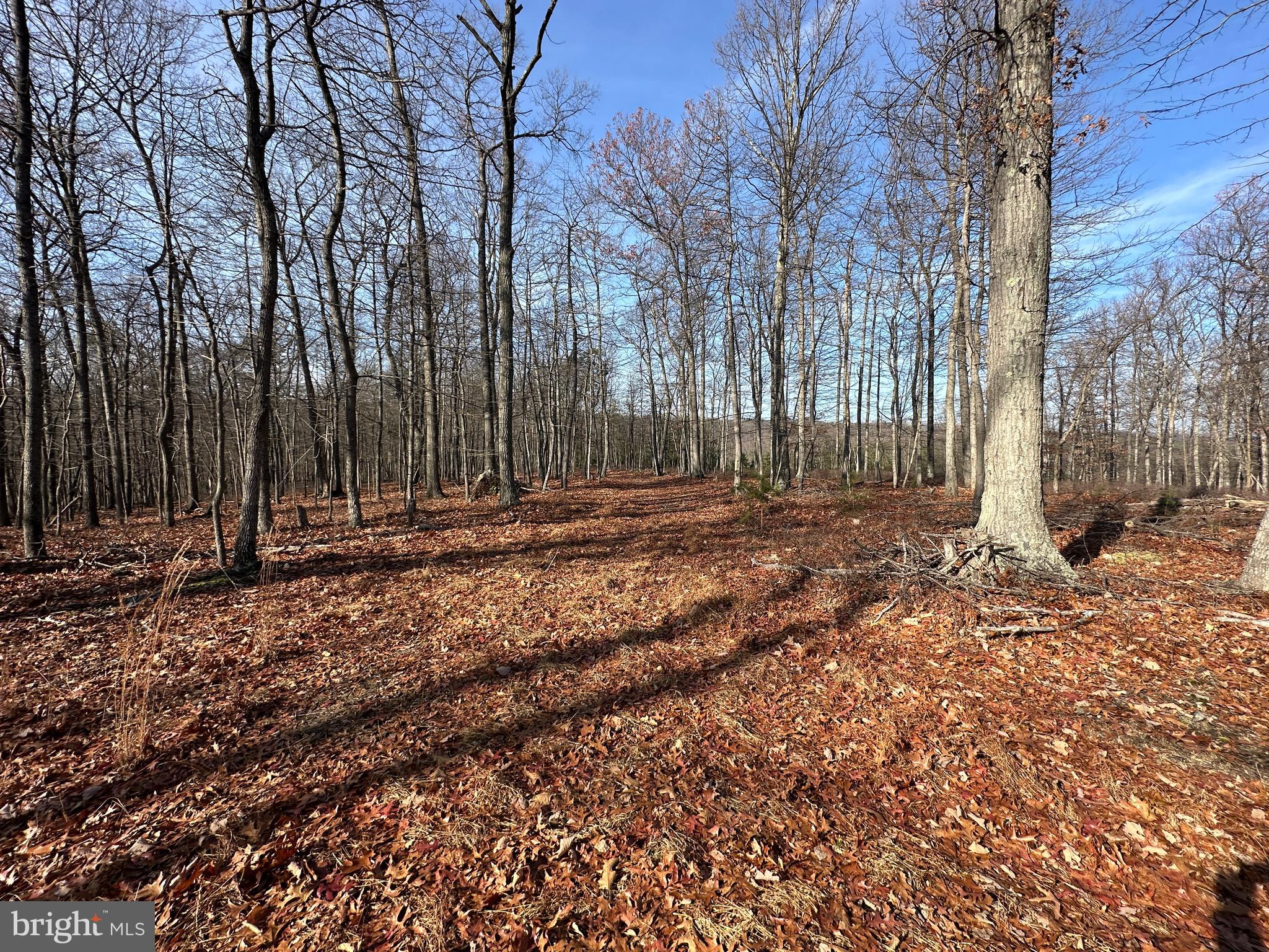 BLUFFS ON THE POTOMAC - Land